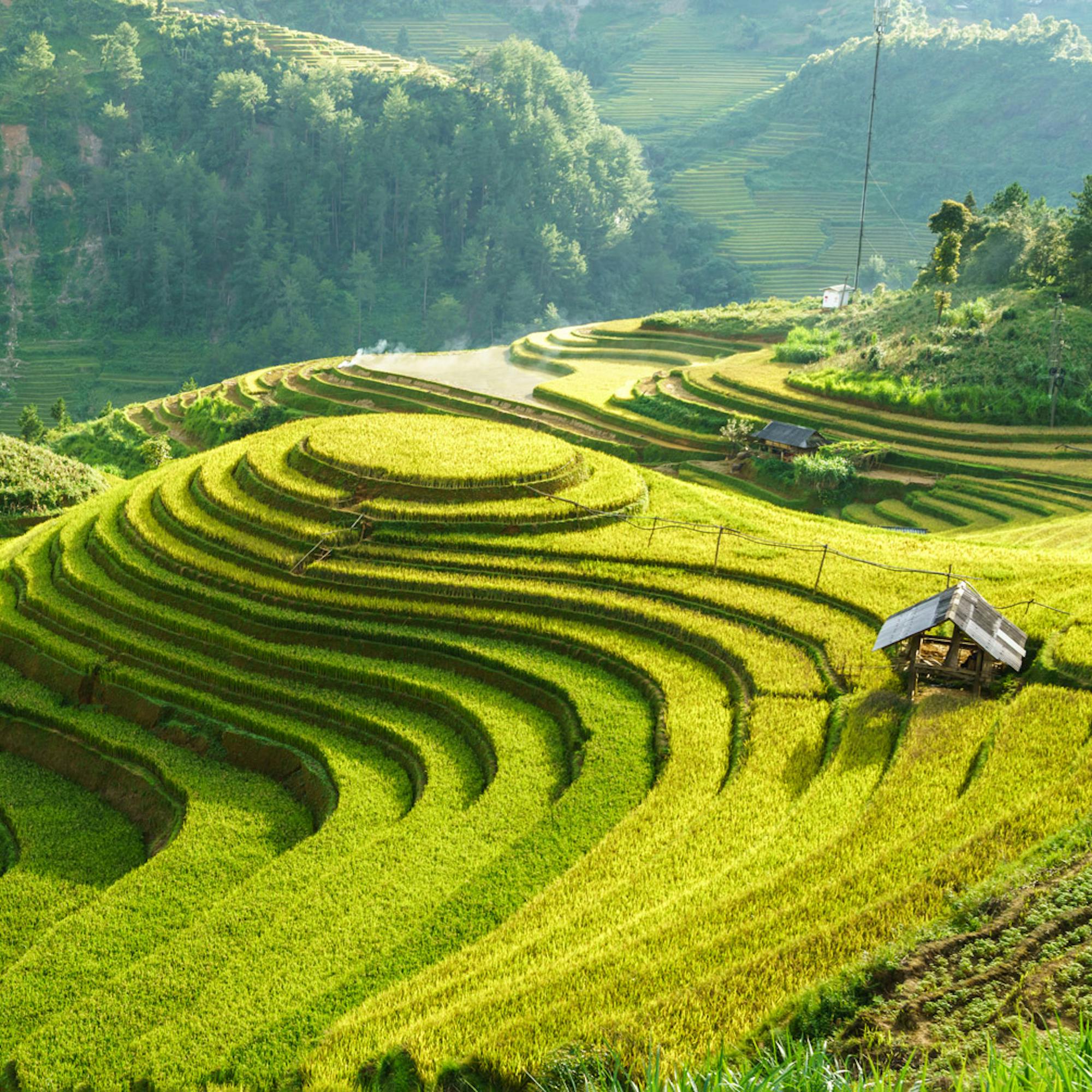 Sunlit rice terraces curve across green hills, stepping down toward a valley with low clouds hugging distant mountains.