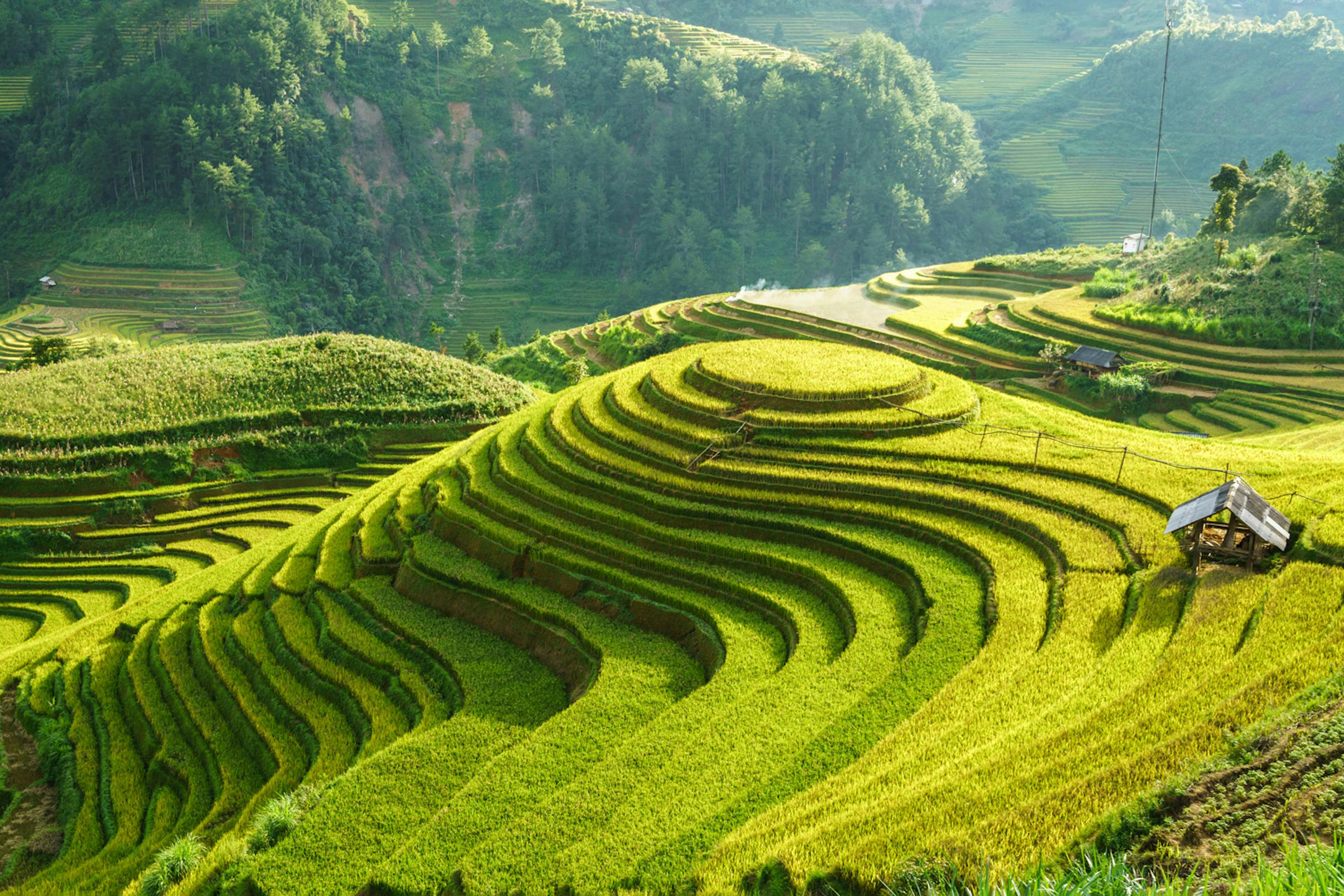 Sunlit rice terraces curve across green hills, stepping down toward a valley with low clouds hugging distant mountains.