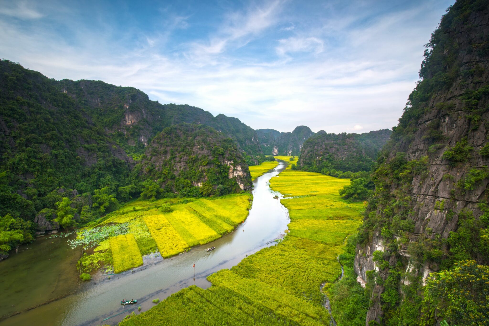 A river winds through bright rice fields between limestone cliffs, reflecting a pale sky in the narrow valley.