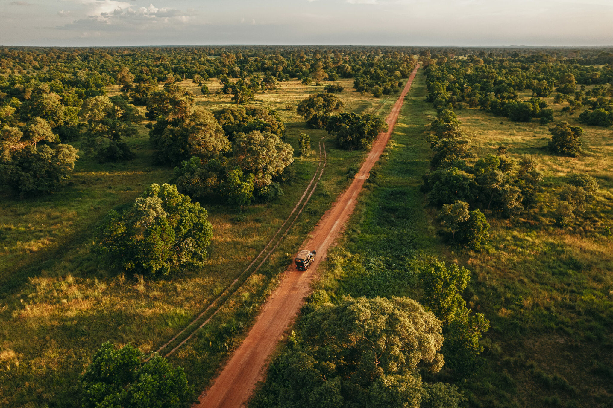 An aerial view shows a straight red dirt road cutting through green wetlands and trees in Brazil’s Pantanal.