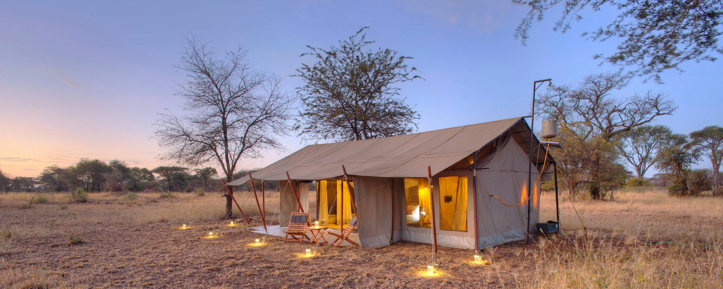 Canvas safari guest tent glows at dusk, with a lit porch and nearby trees silhouetted against a pale sky.
