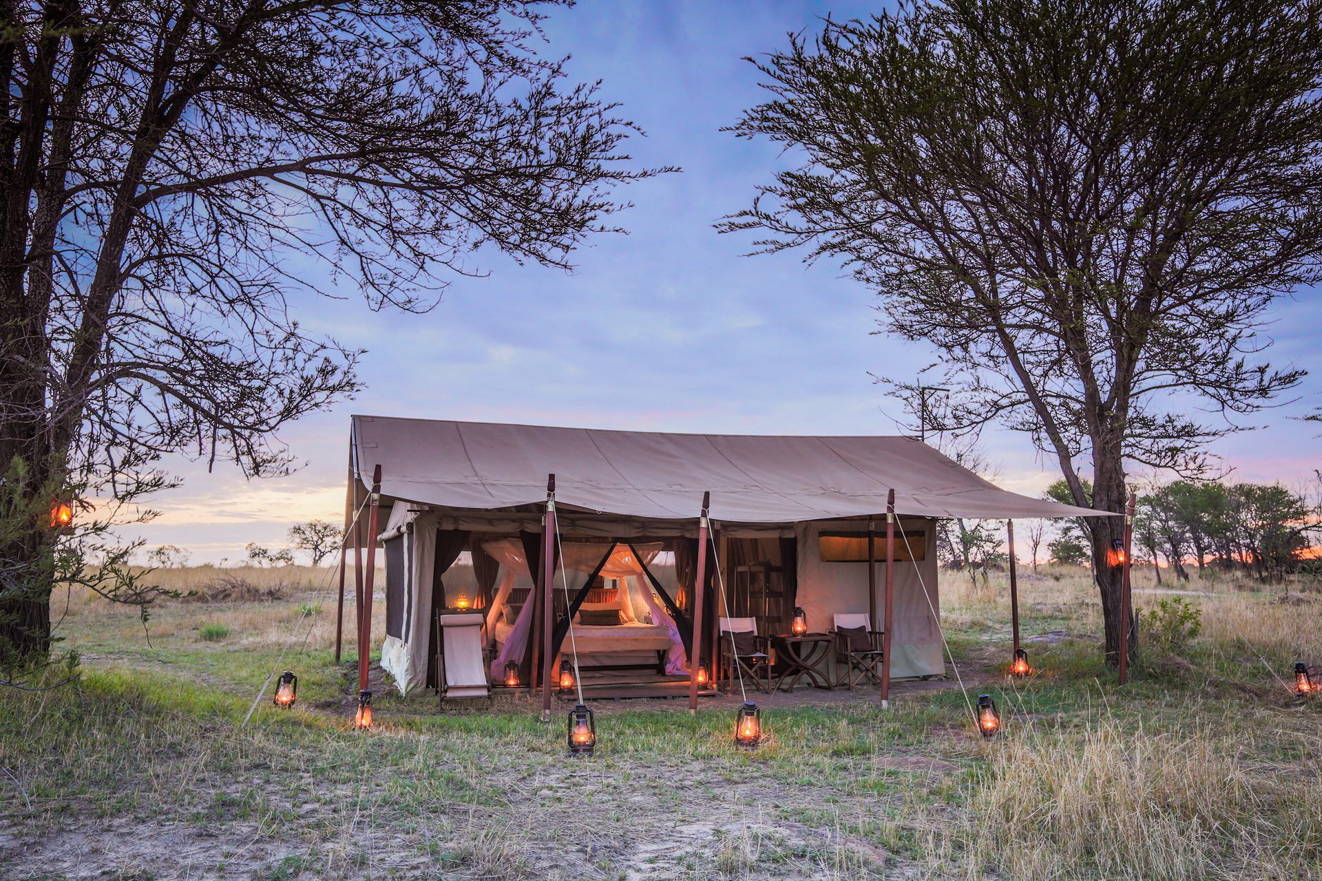 Mobile safari tent stands open in dry grassland, showing a  canvas structure, with a bed and lanterns
