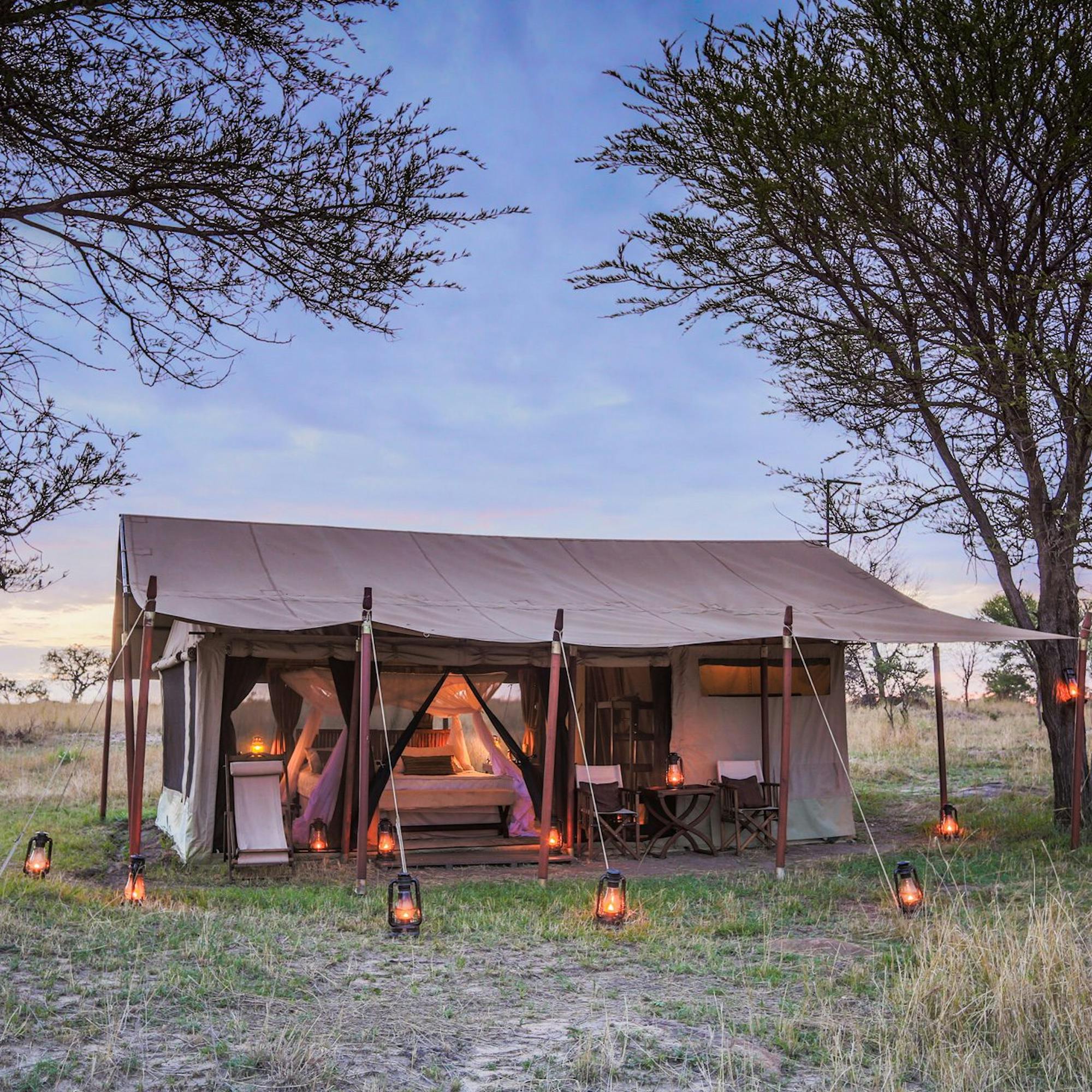 Mobile safari tent stands open in dry grassland, showing a canvas structure, with a bed and lanterns