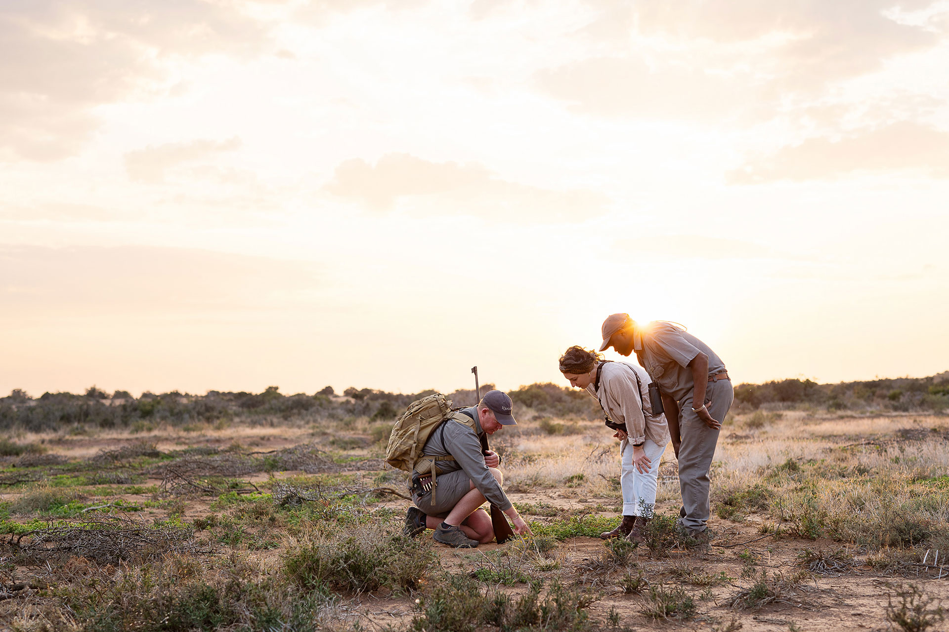 A guide kneels in scrubland pointing to animal tracks while two guests listen, with the sun low behind them.