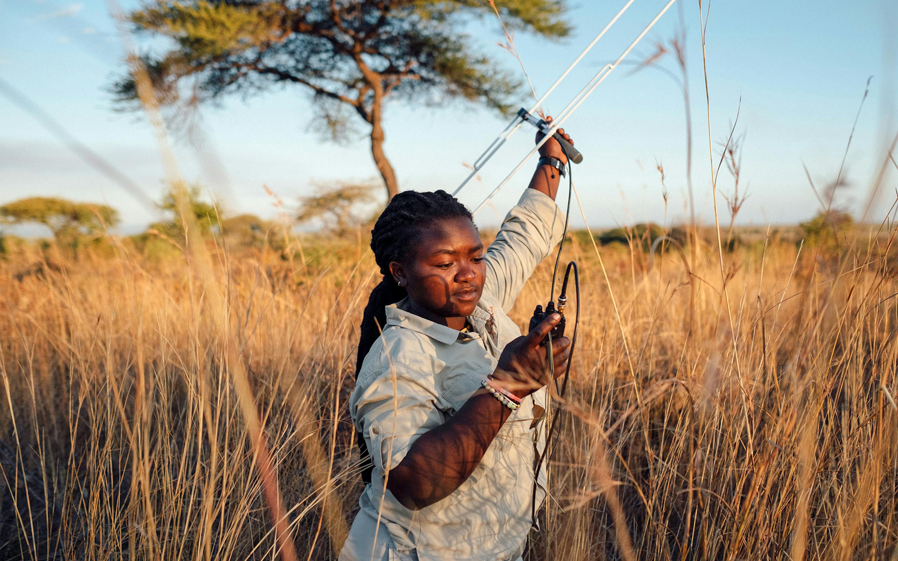 A guide stands in tall golden grass holding a camera, with wide plains and a pale sky stretching behind him.