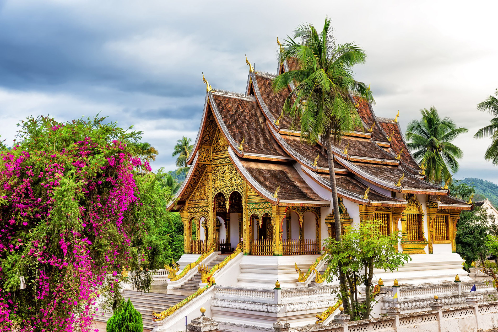 An ornate Luang Prabang temple stands behind blooming bougainvillea, with gold trim and tall palms under gray clouds.