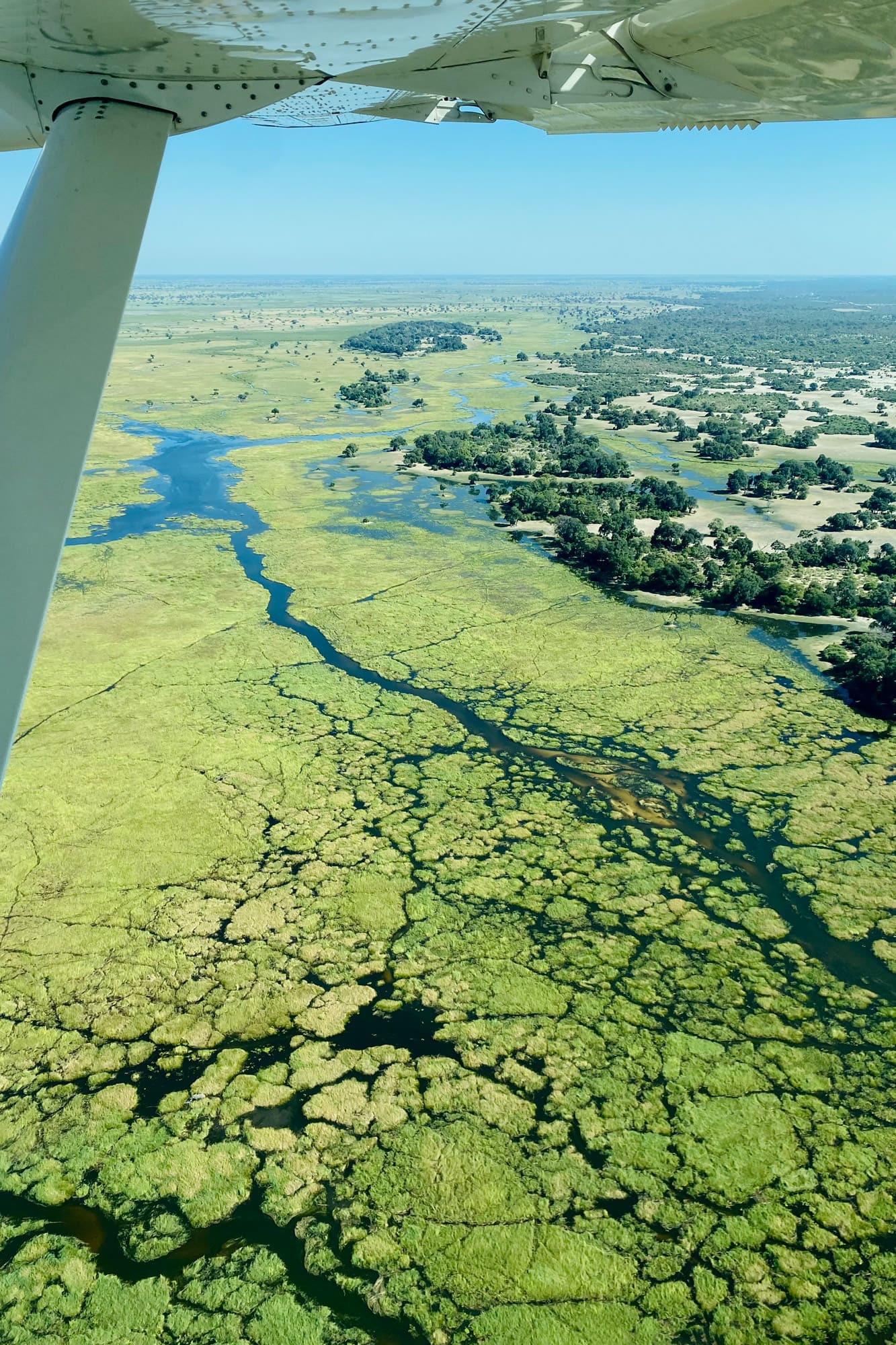 Aerial view of branching waterways and green islands in a delta, with a wingtip visible at the edge of frame.