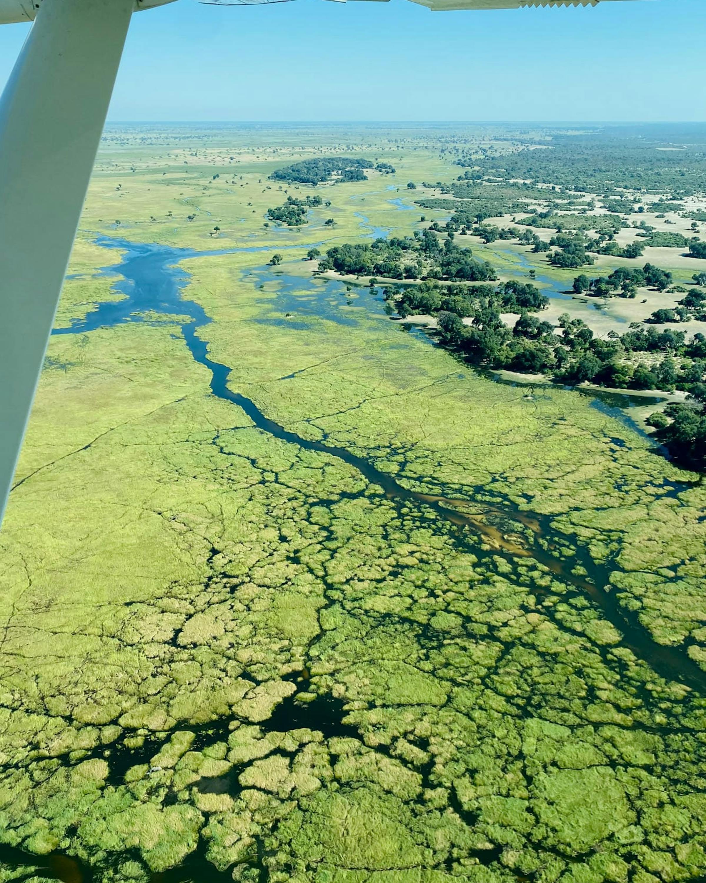 Aerial view of branching waterways and green islands in a delta, with a wingtip visible at the edge of frame.