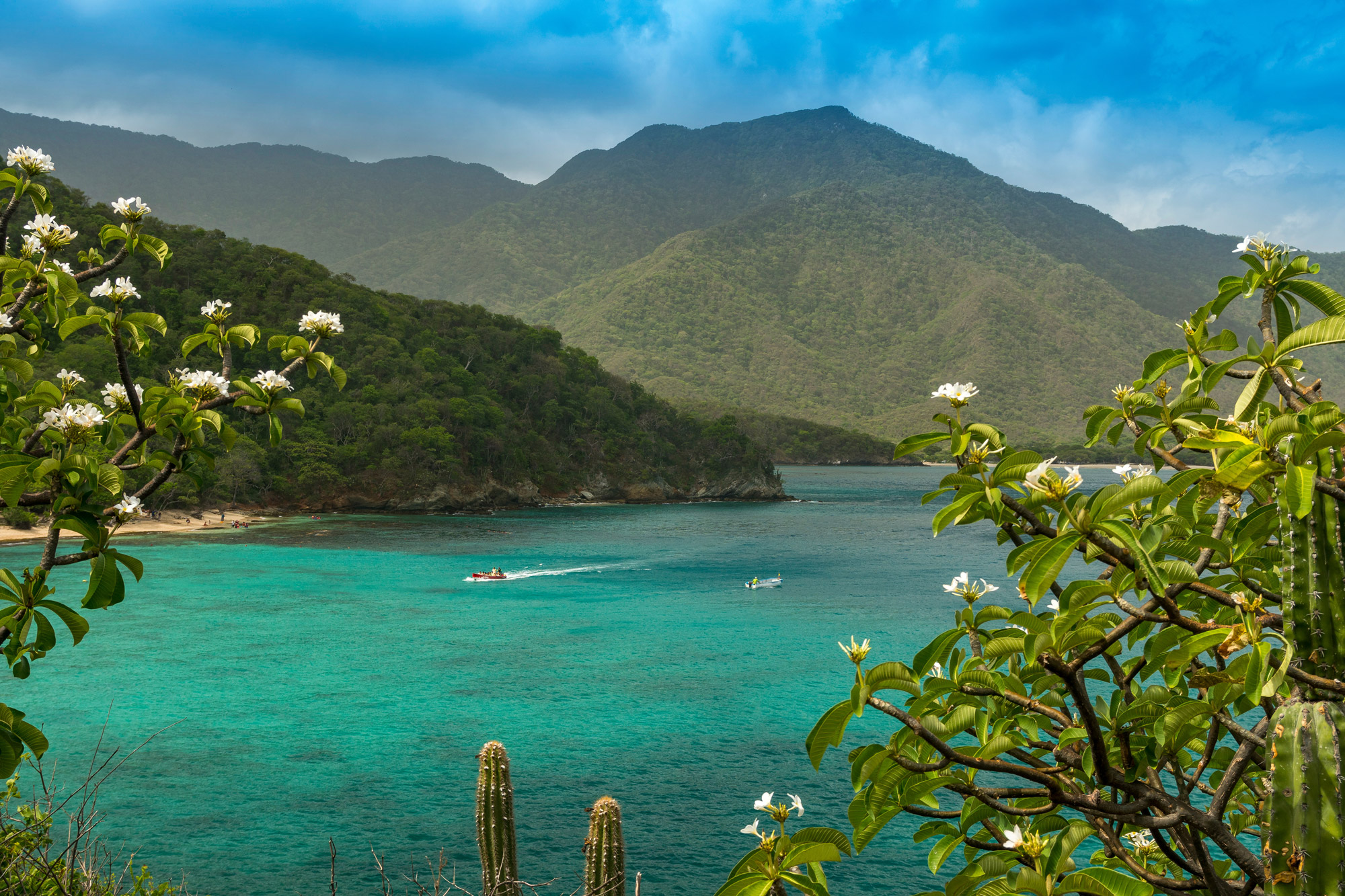 Green mountains drop to a turquoise bay in Tayrona National Park, with a rocky headland and bright water below.