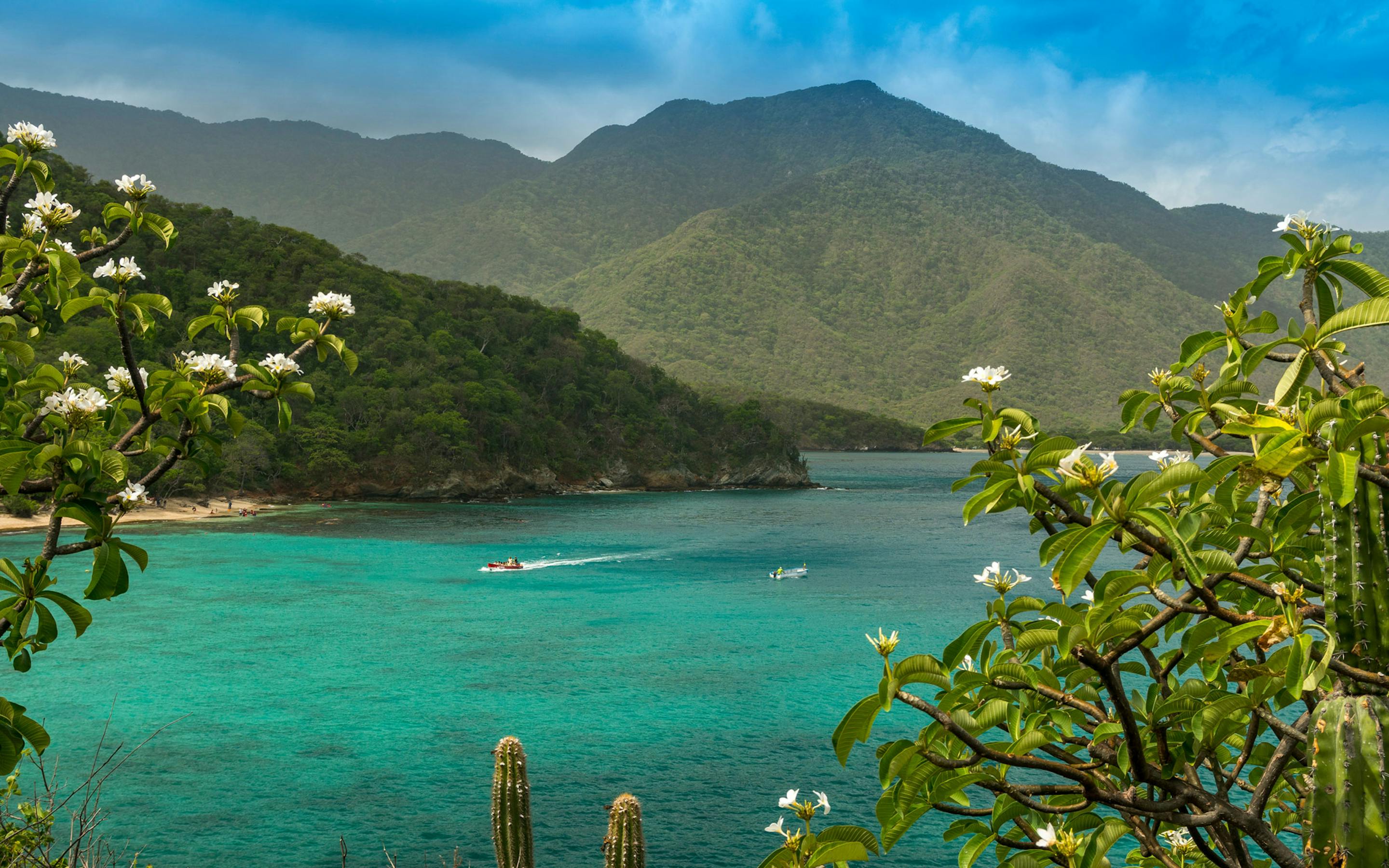 Green mountains drop to a turquoise bay in Tayrona National Park, with a rocky headland and bright water below.