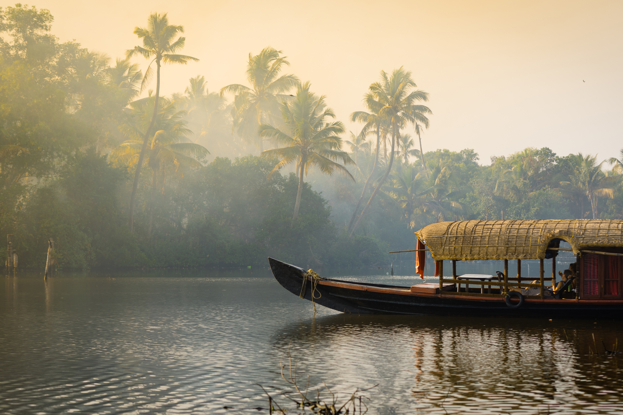 A traditional boat glides along Kerala backwaters at dawn, with palm trees and mist rising above the calm waterway.