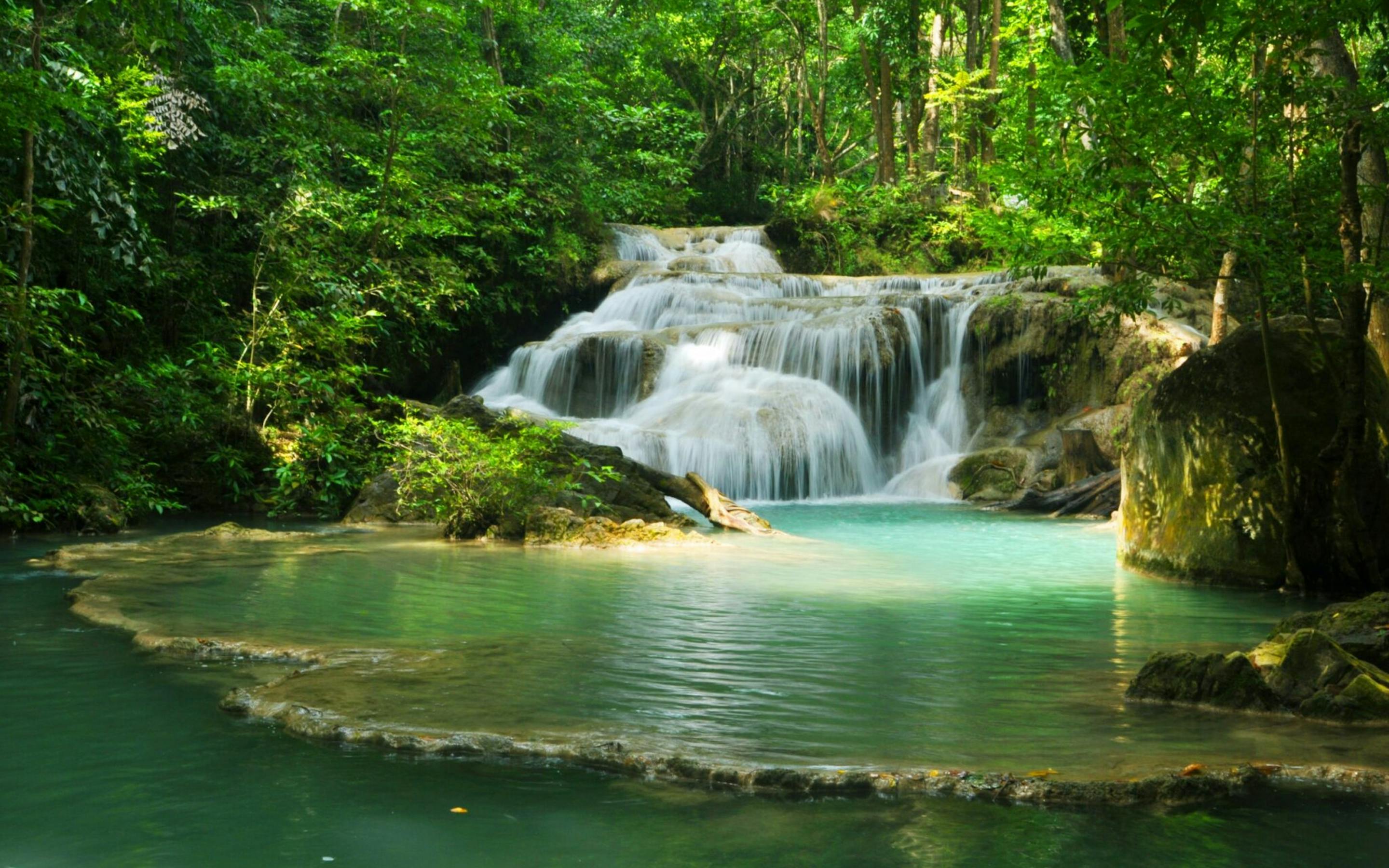 Tiered waterfalls spill into jade pools in a lush forest, with sunlight filtering through leaves and mossy rocks.