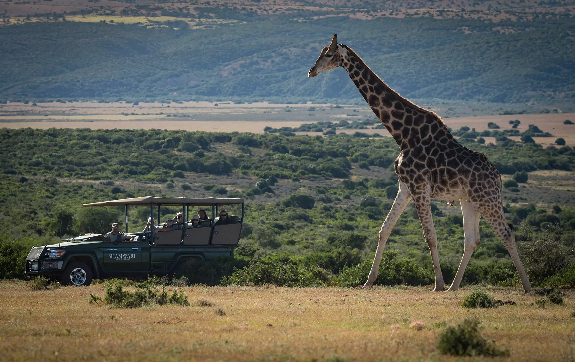 A safari vehicle pauses on open plains as a giraffe walks past, with layered hills and clear blue sky beyond.