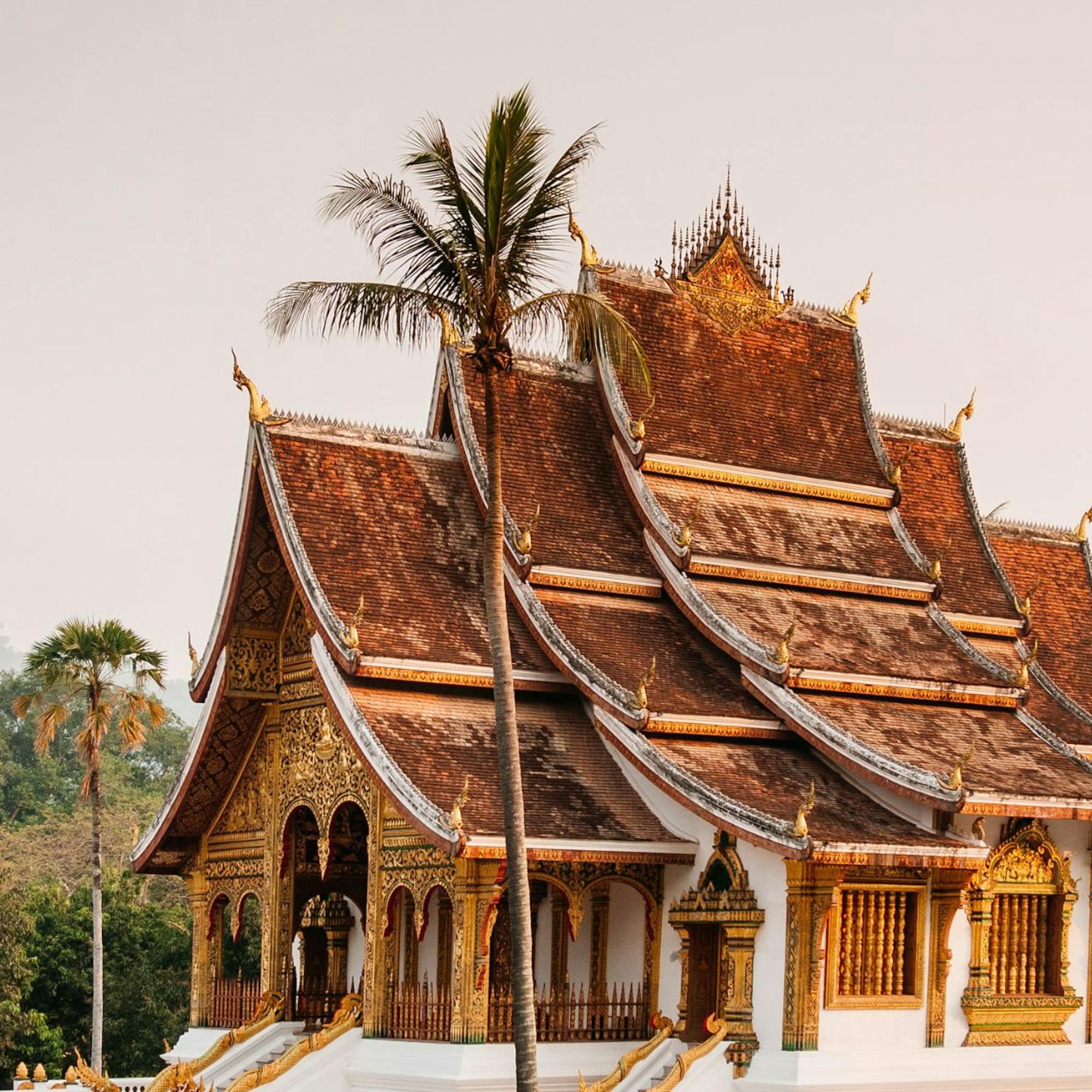 Ornate temple with layered roofs and gilded details rises above palms and lush gardens under a warm hazy sky.