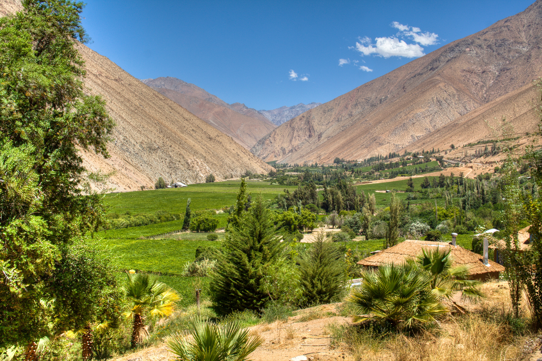 Green vineyard rows and a winding river fill the valley floor, backed by sunlit brown mountains under blue sky.