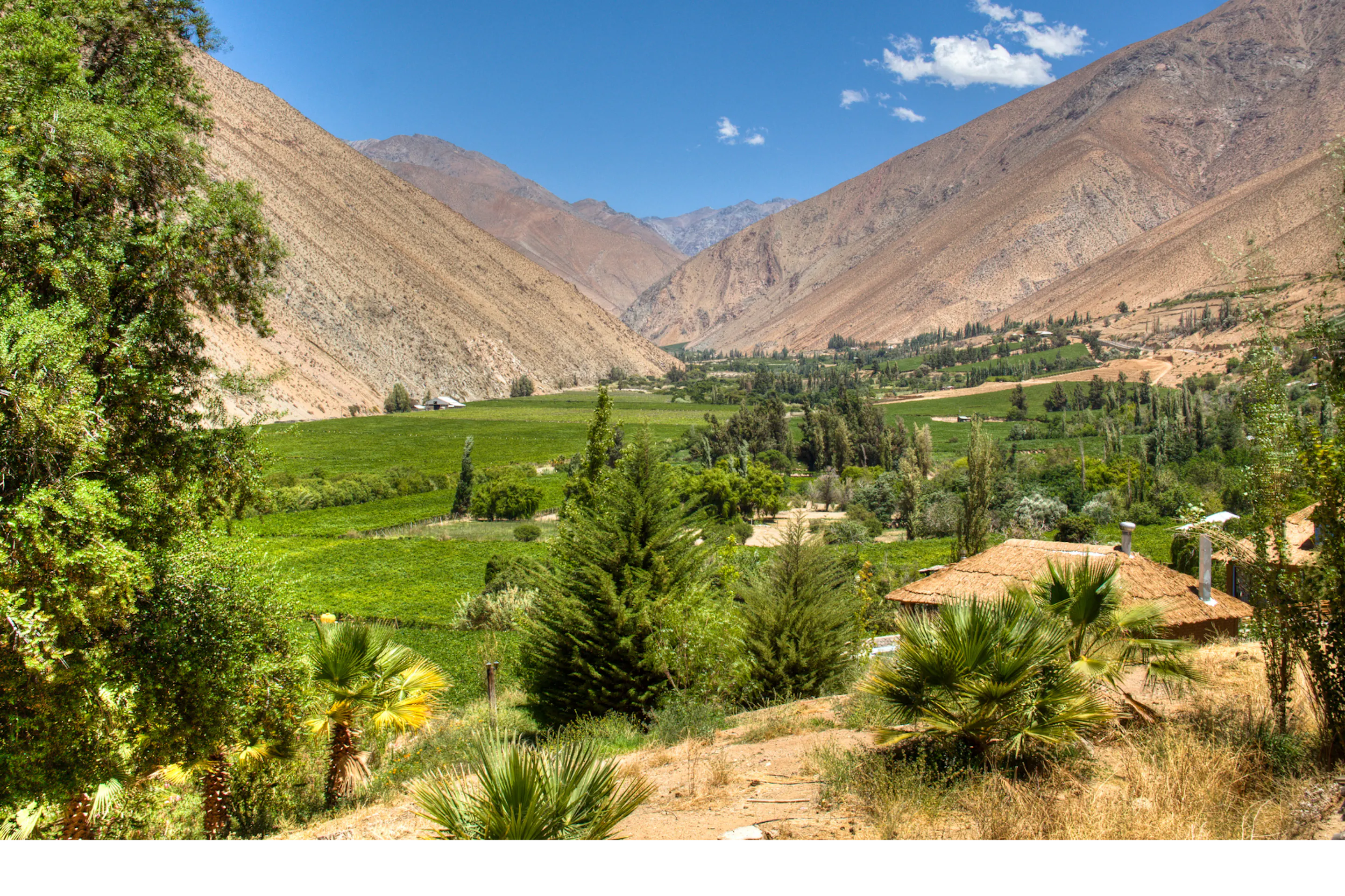 Green vineyard rows and a winding river fill the valley floor, backed by sunlit brown mountains under blue sky.