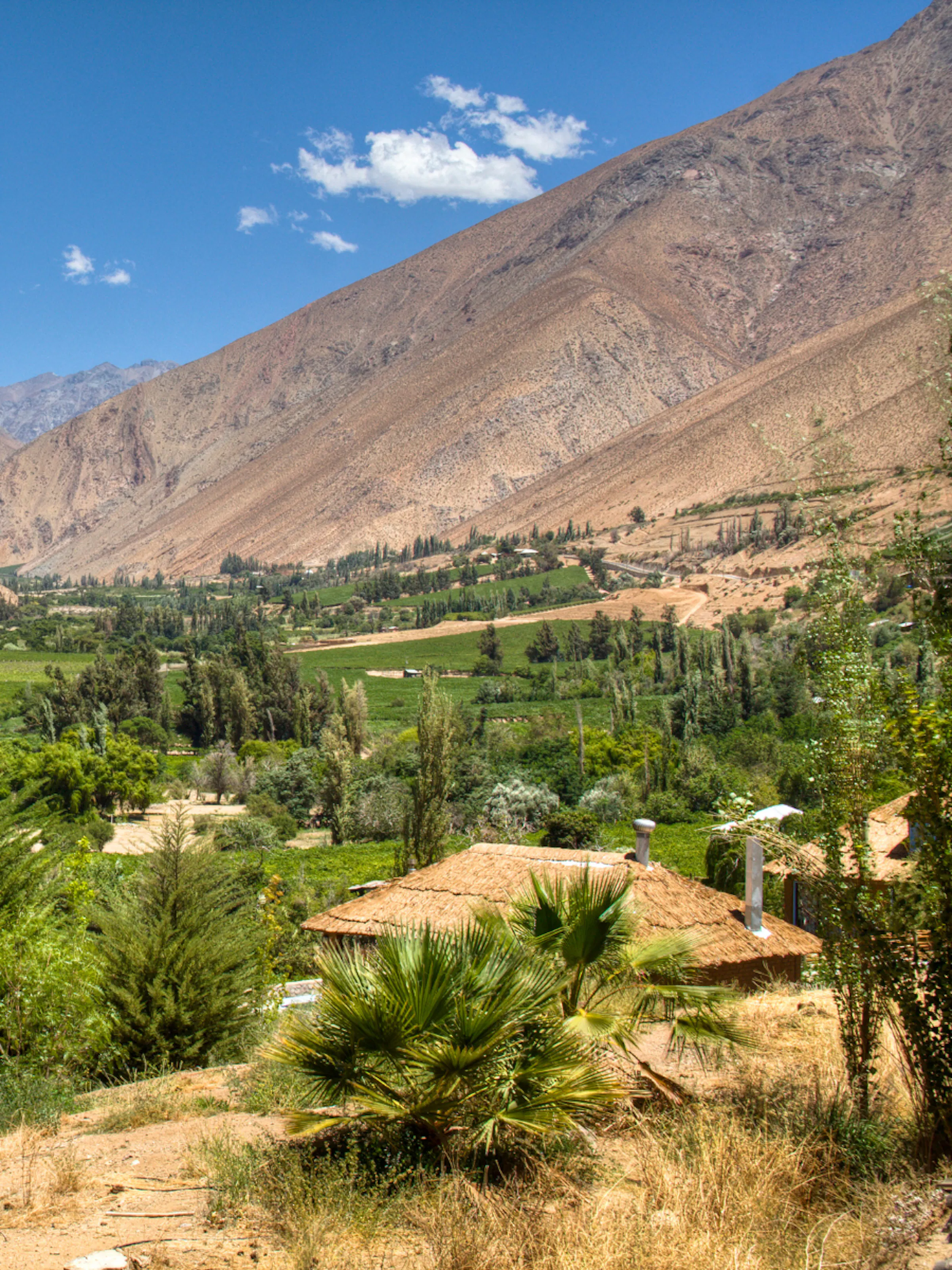 Green vineyard rows and a winding river fill the valley floor, backed by sunlit brown mountains under blue sky.