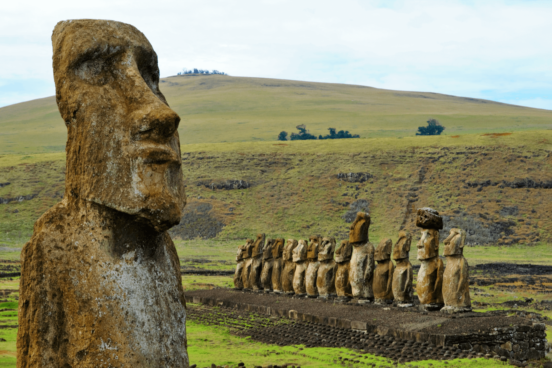A weathered moai statue stands in grassy fields, with the Tongariki platform and distant coast behind it.