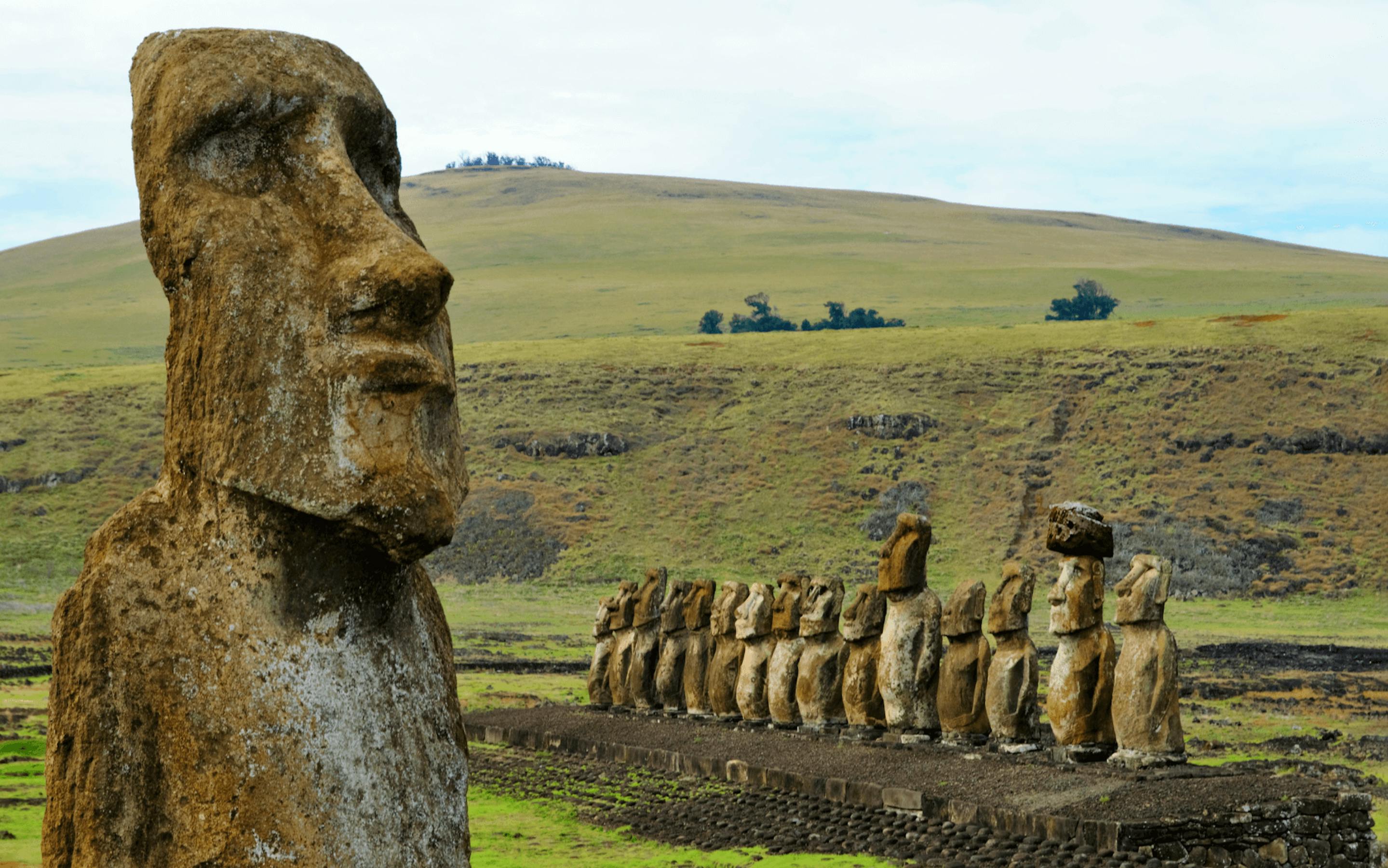A weathered moai statue stands in grassy fields, with the Tongariki platform and distant coast behind it.