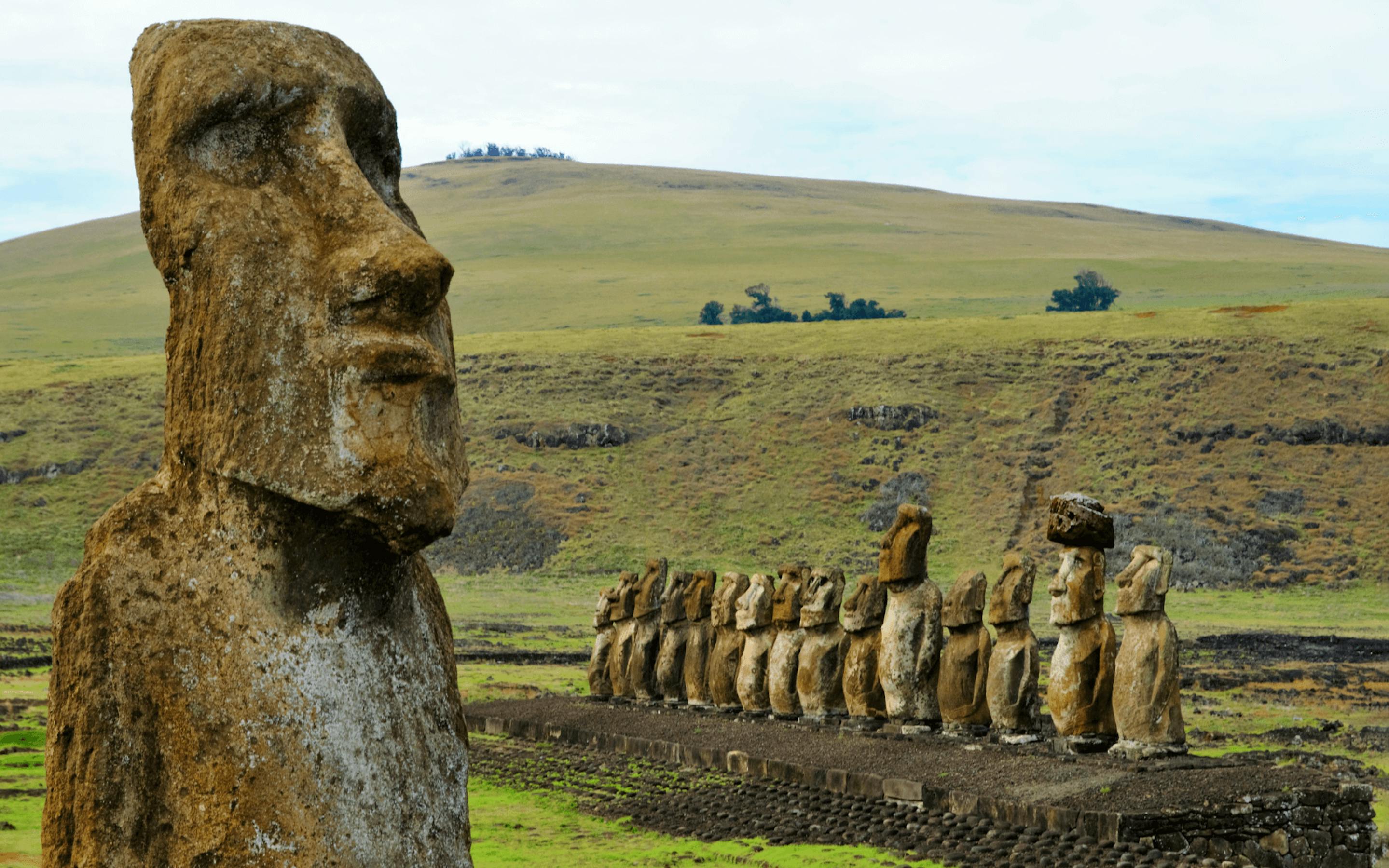 A weathered moai statue stands in grassy fields, with the Tongariki platform and distant coast behind it.