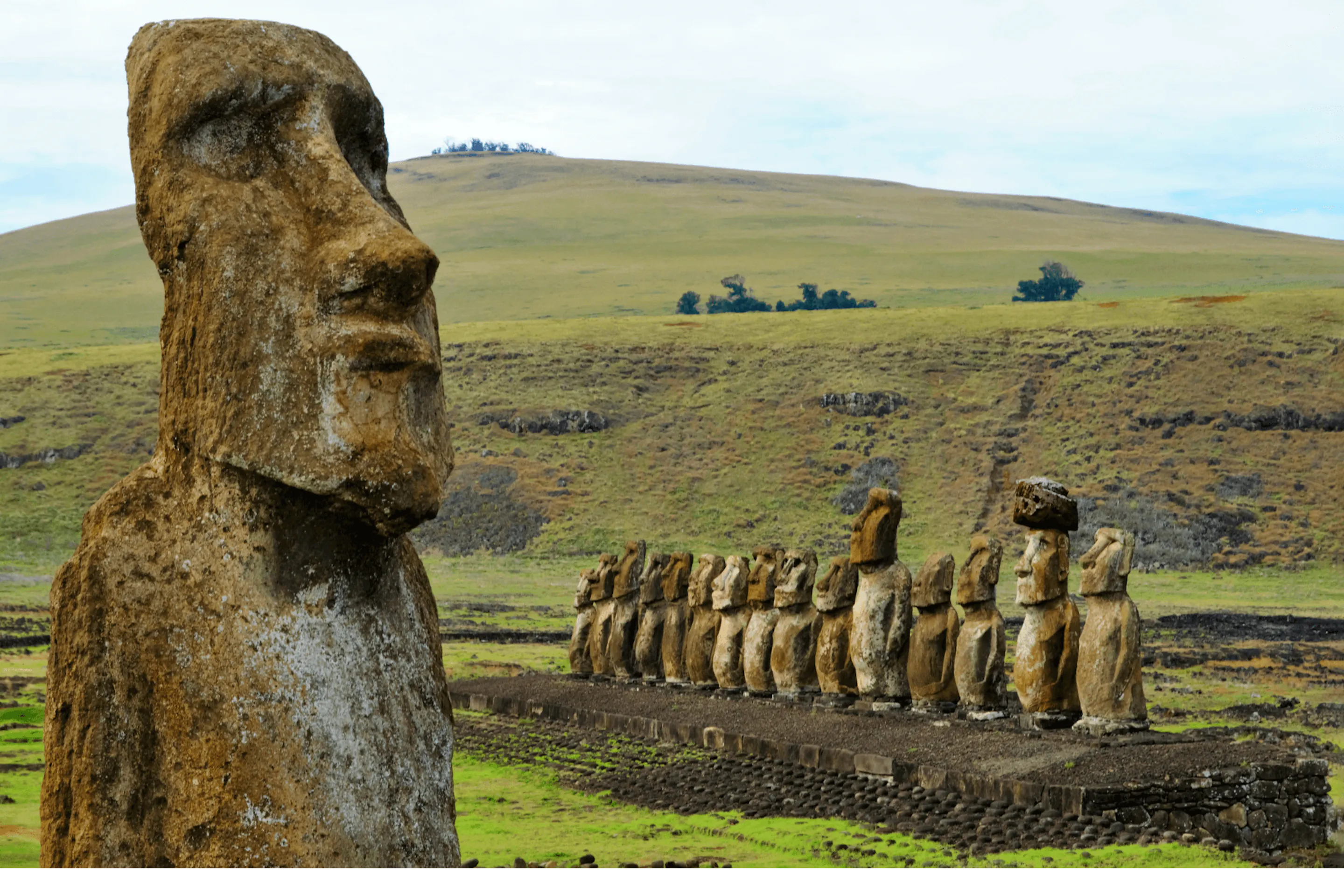 A weathered moai statue stands in grassy fields, with the Tongariki platform and distant coast behind it.