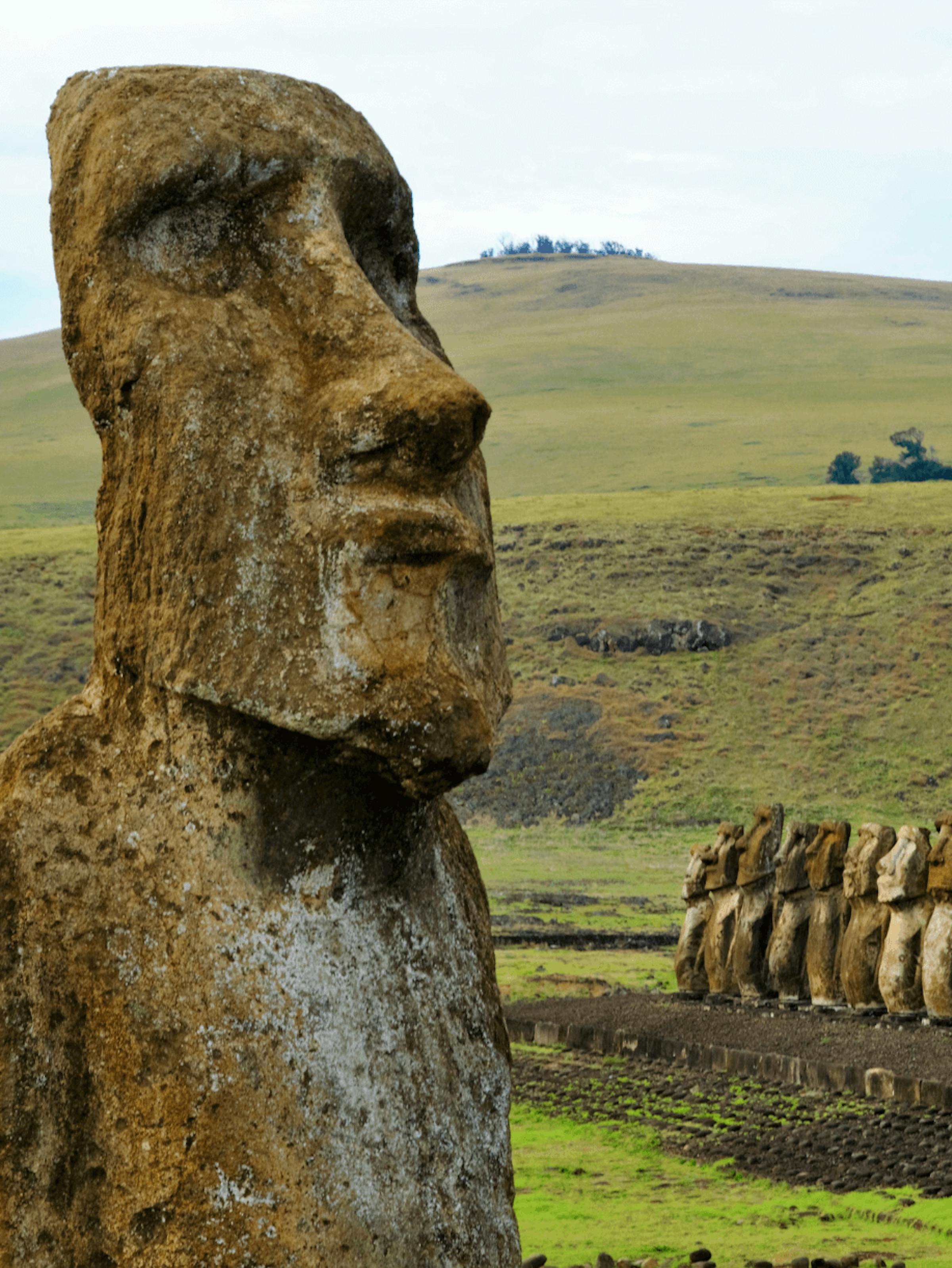 A weathered moai statue stands in grassy fields, with the Tongariki platform and distant coast behind it.