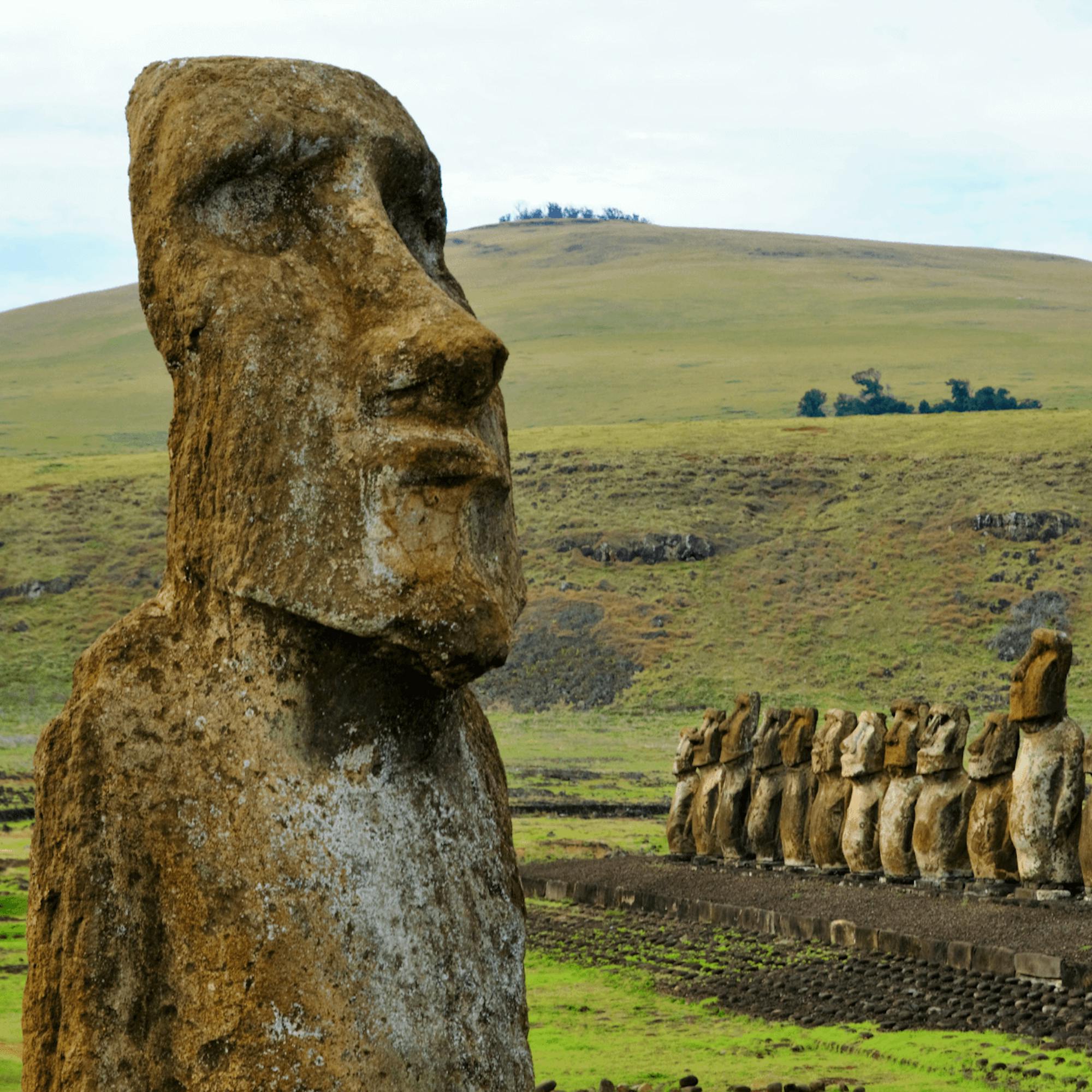 A weathered moai statue stands in grassy fields, with the Tongariki platform and distant coast behind it.