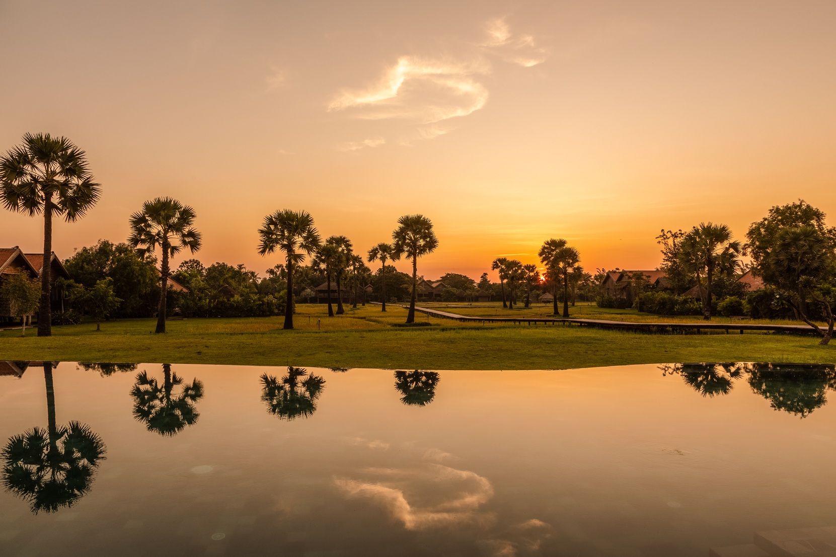 Palm trees and a glowing sky reflect in still water at sunset, with fields and silhouettes stretching to the horizon.