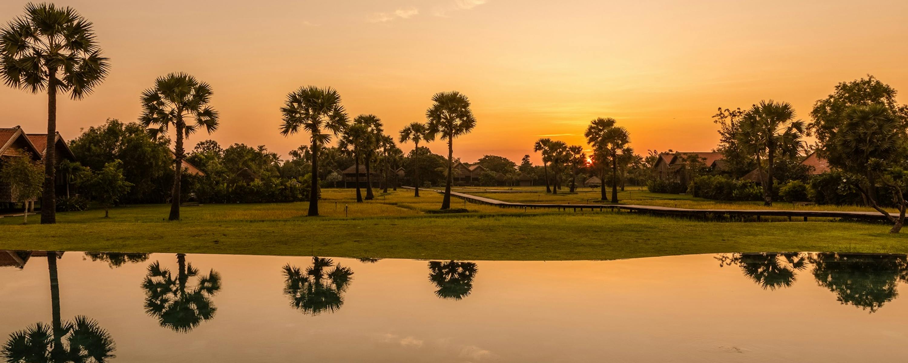 Palm trees and a glowing sky reflect in still water at sunset, with fields and silhouettes stretching to the horizon.