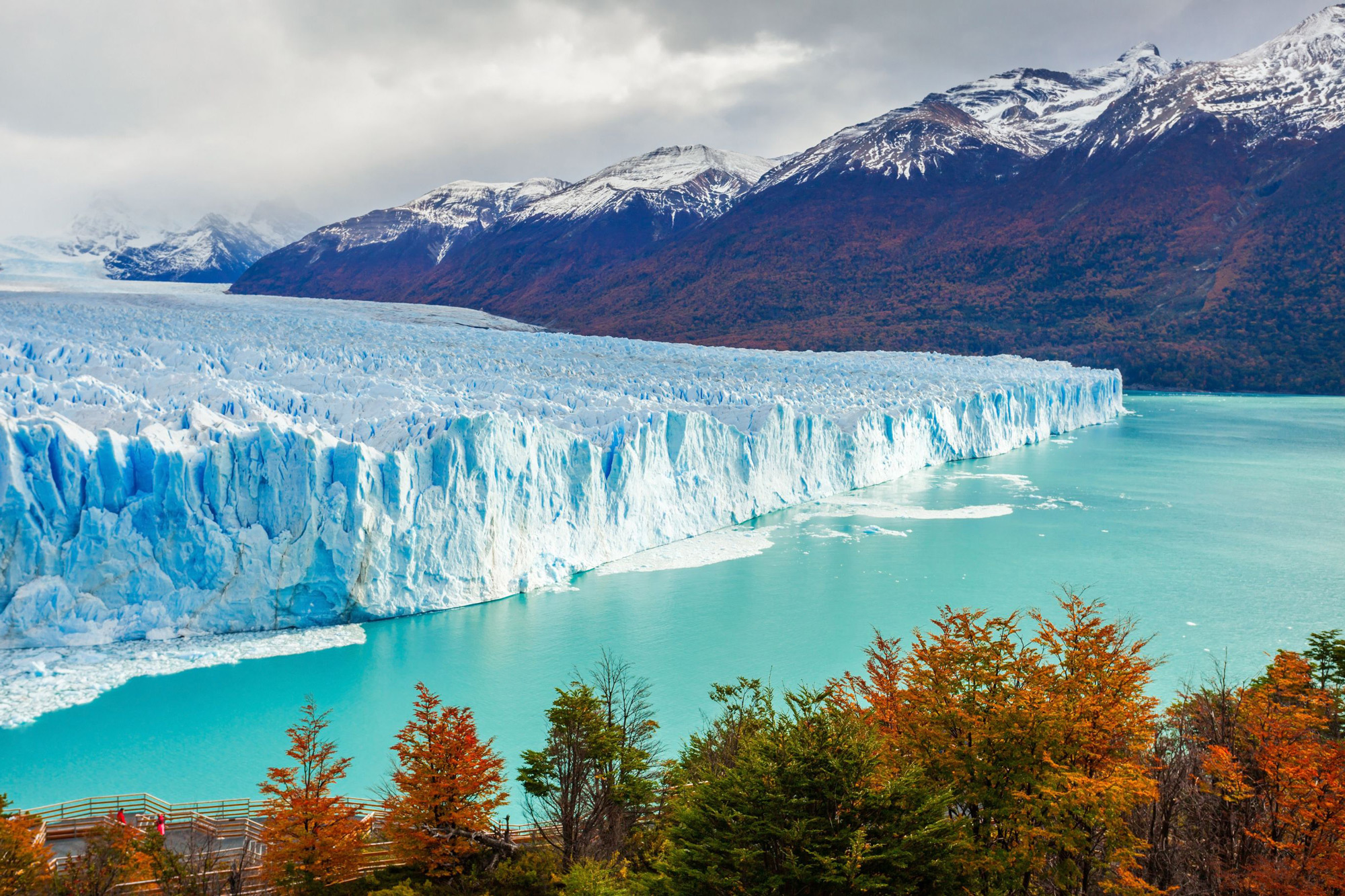Vast blue glacier ice cliffs meet a milky lake, backed by dark mountains and autumn trees along the shore.