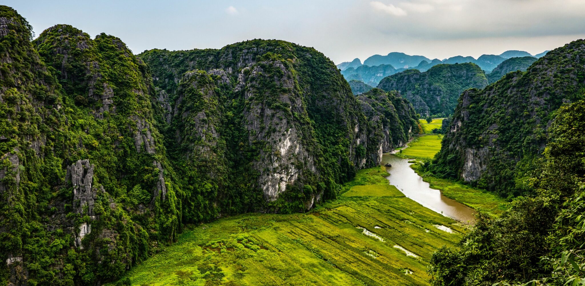A winding river cuts through vivid green rice fields, enclosed by steep limestone karsts under hazy light.