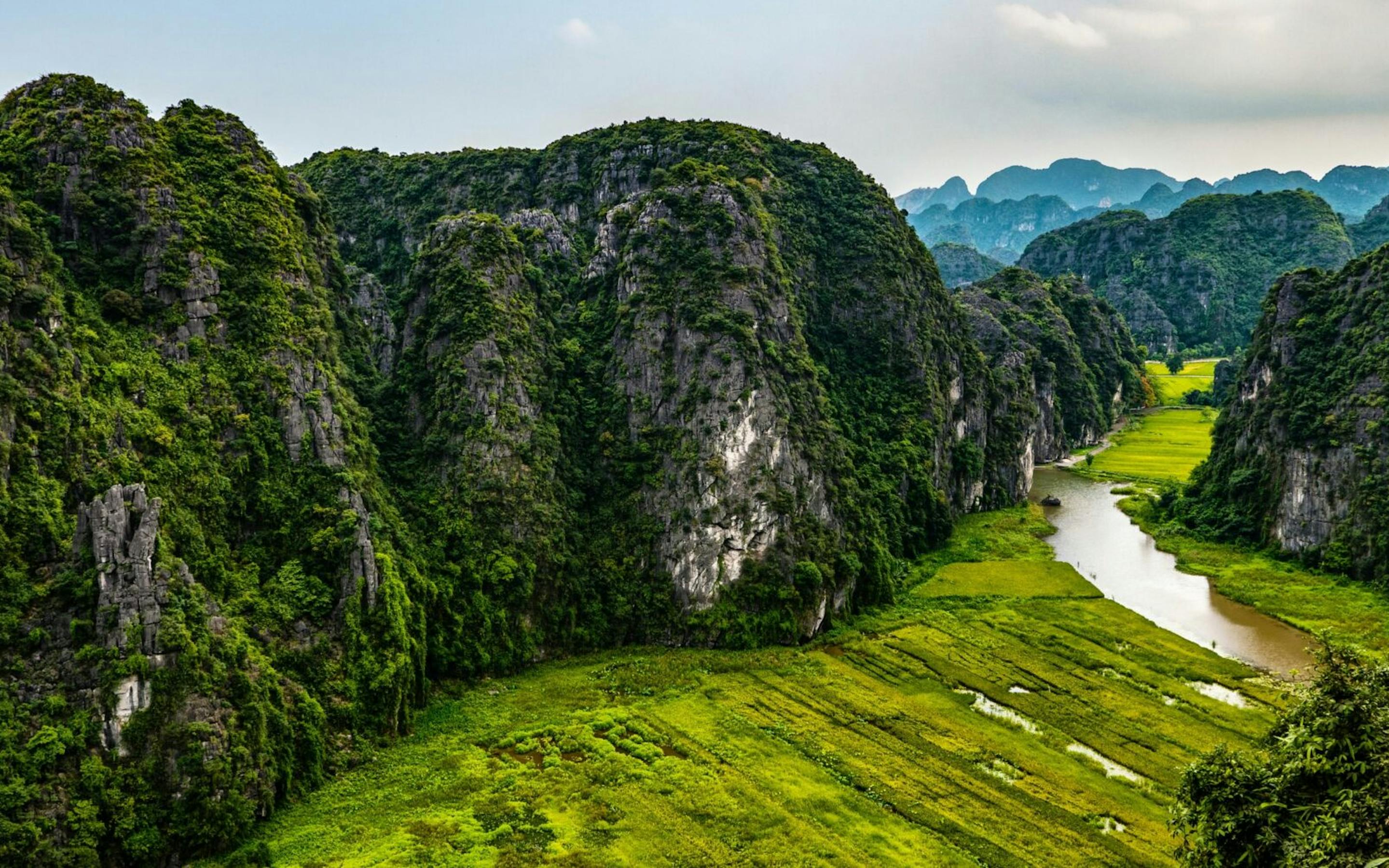 A winding river cuts through vivid green rice fields, enclosed by steep limestone karsts under hazy light.