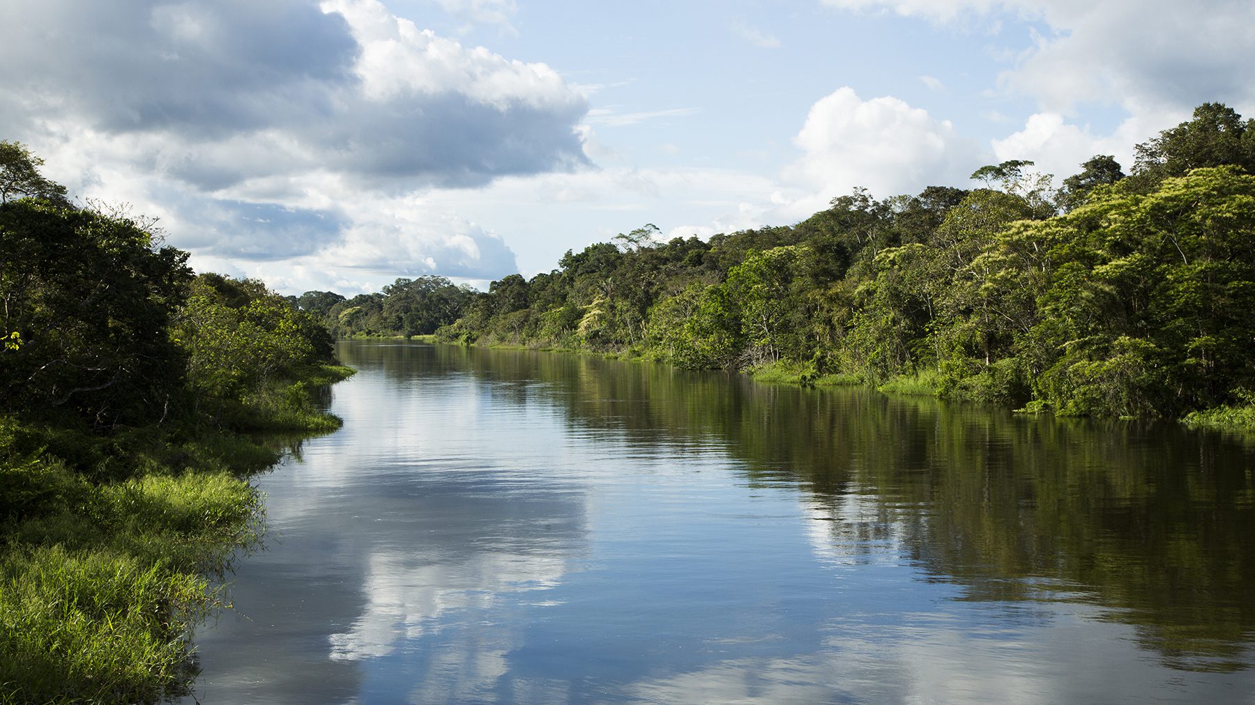 A calm river mirrors clouds as dense rainforest lines both banks, narrowing toward the horizon under soft light.