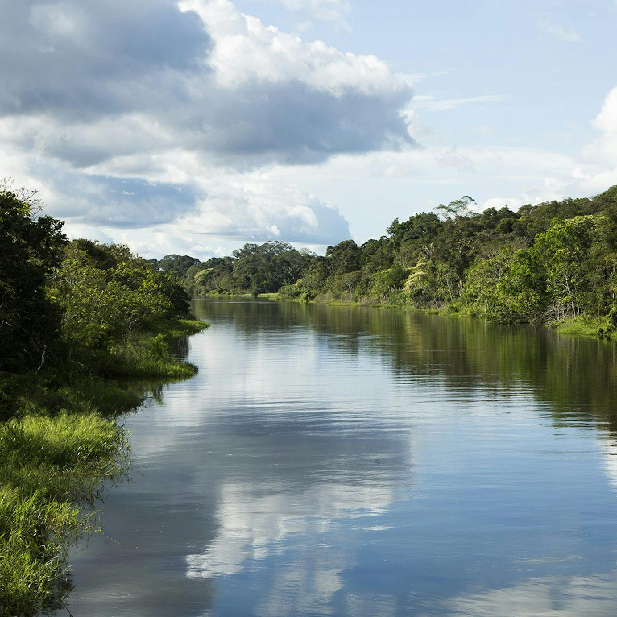 A calm river mirrors clouds as dense rainforest lines both banks, narrowing toward the horizon under soft light.