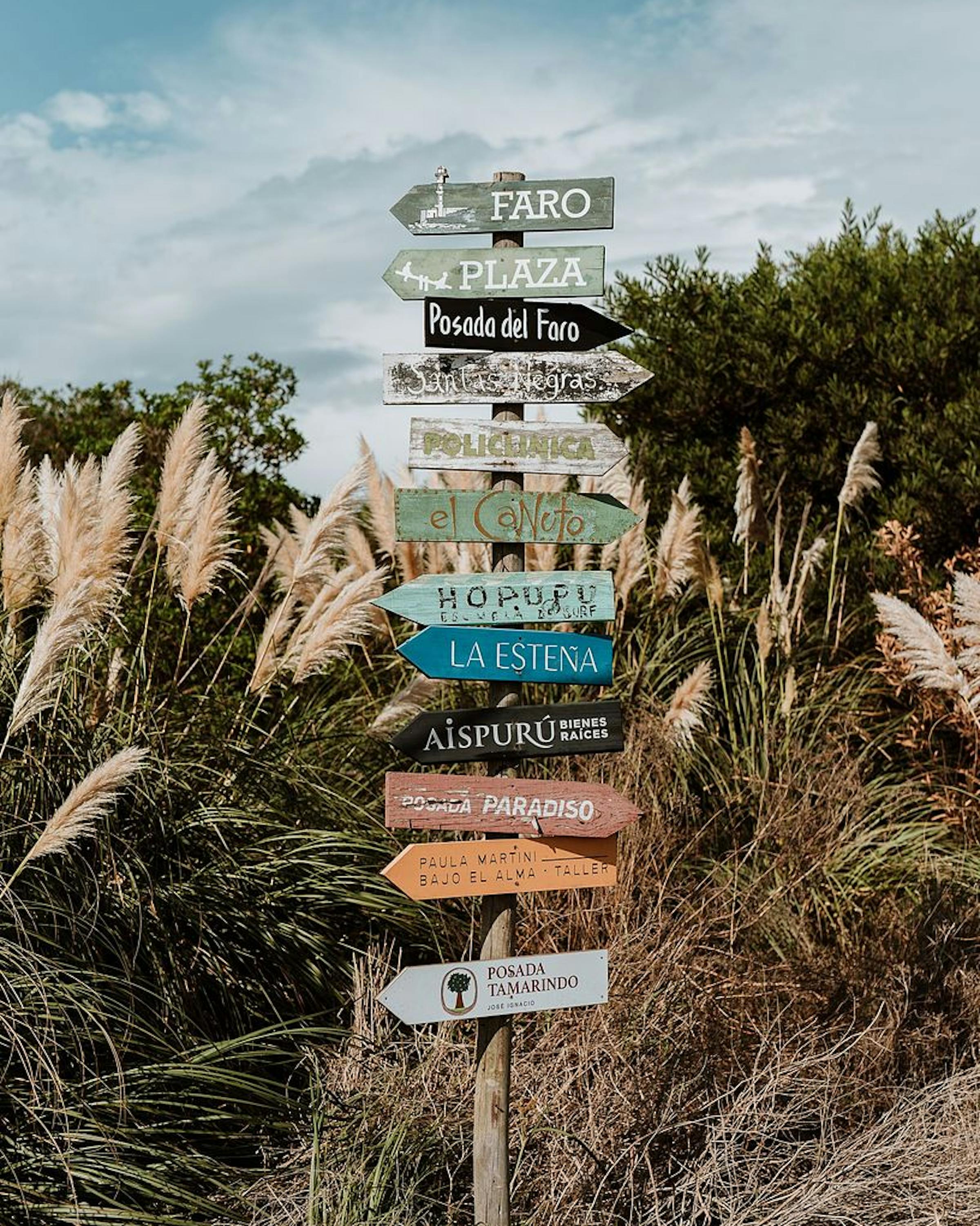 A weathered signpost stacked with colorful direction boards stands in sandy dunes with dry grasses and open sky.