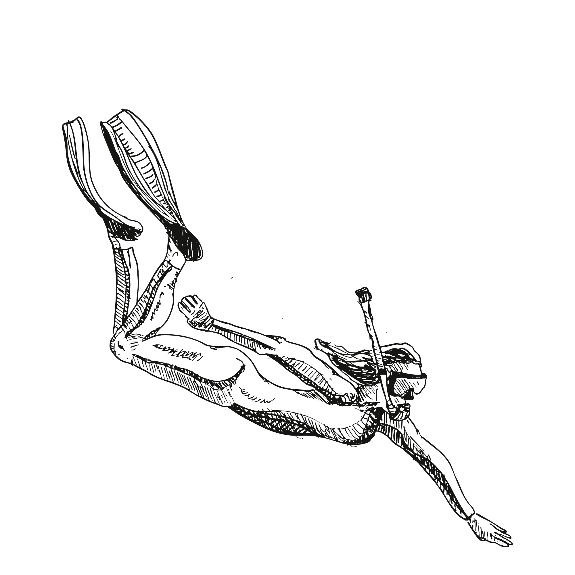 Sketch of a diver wearing a snorkel.
