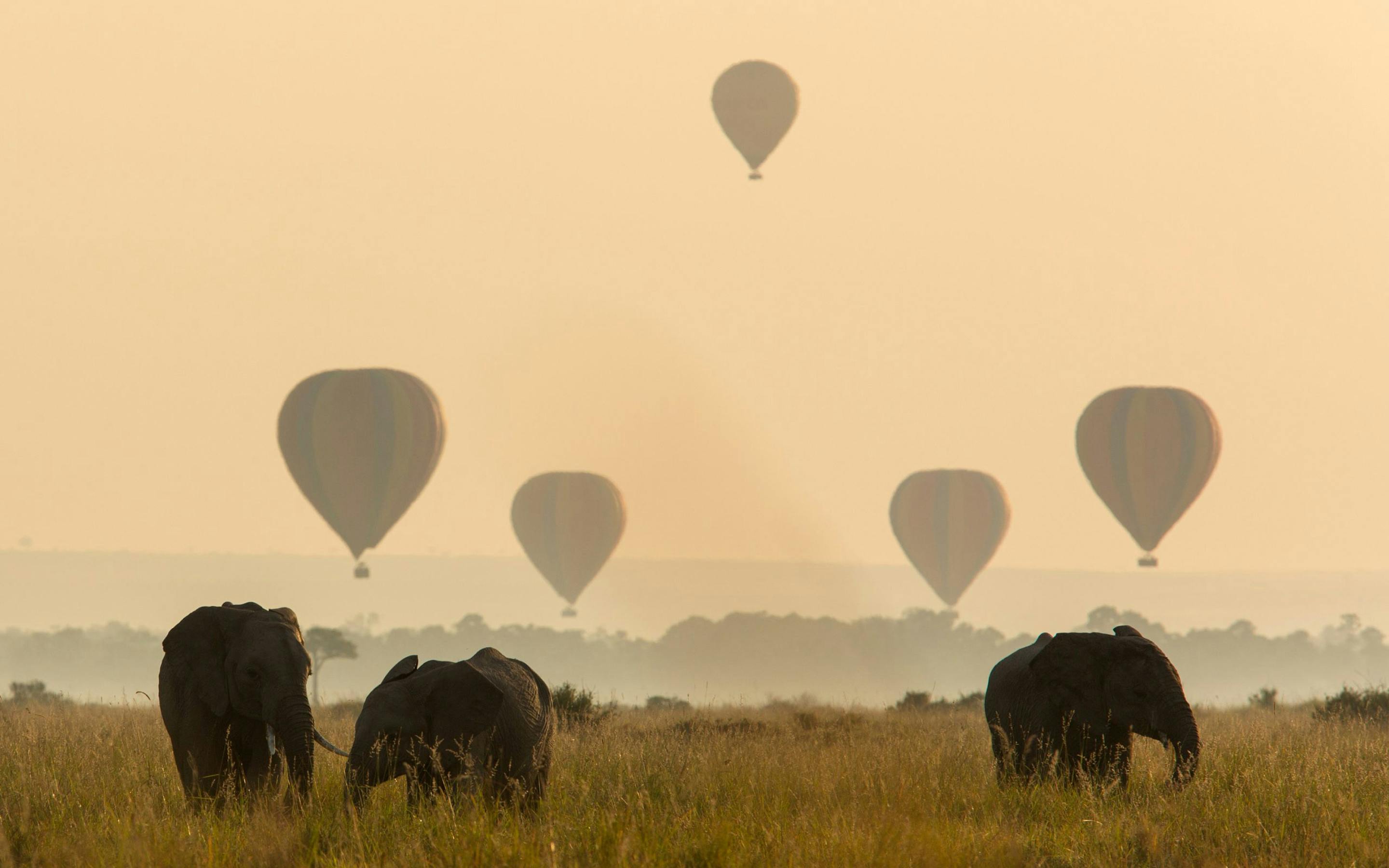 Elephants graze on the misty Mara as hot air balloons drift overhead, silhouettes fading into sunrise haze.