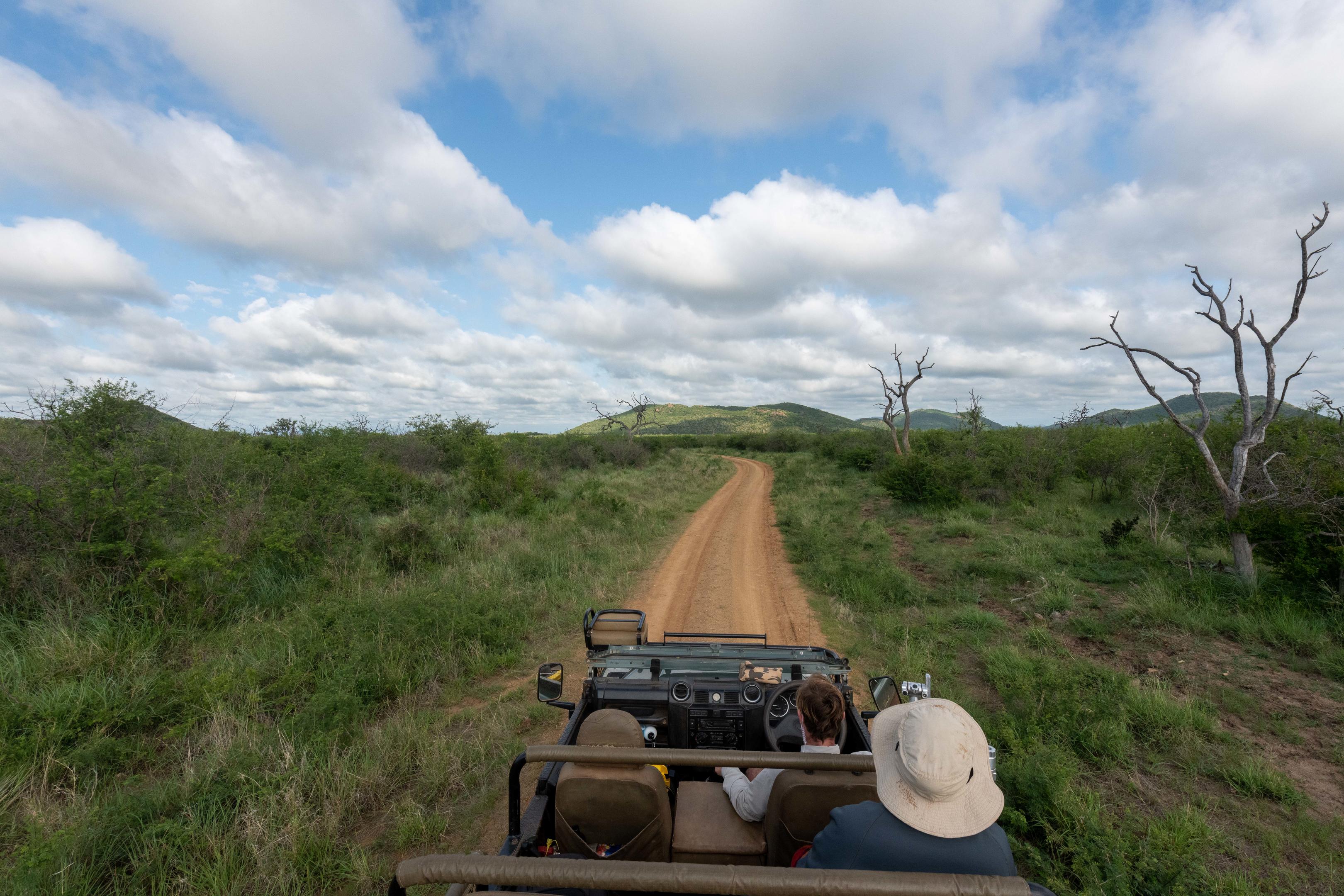 View from an open safari vehicle follows a sandy track through green scrub, with clouds drifting overhead.