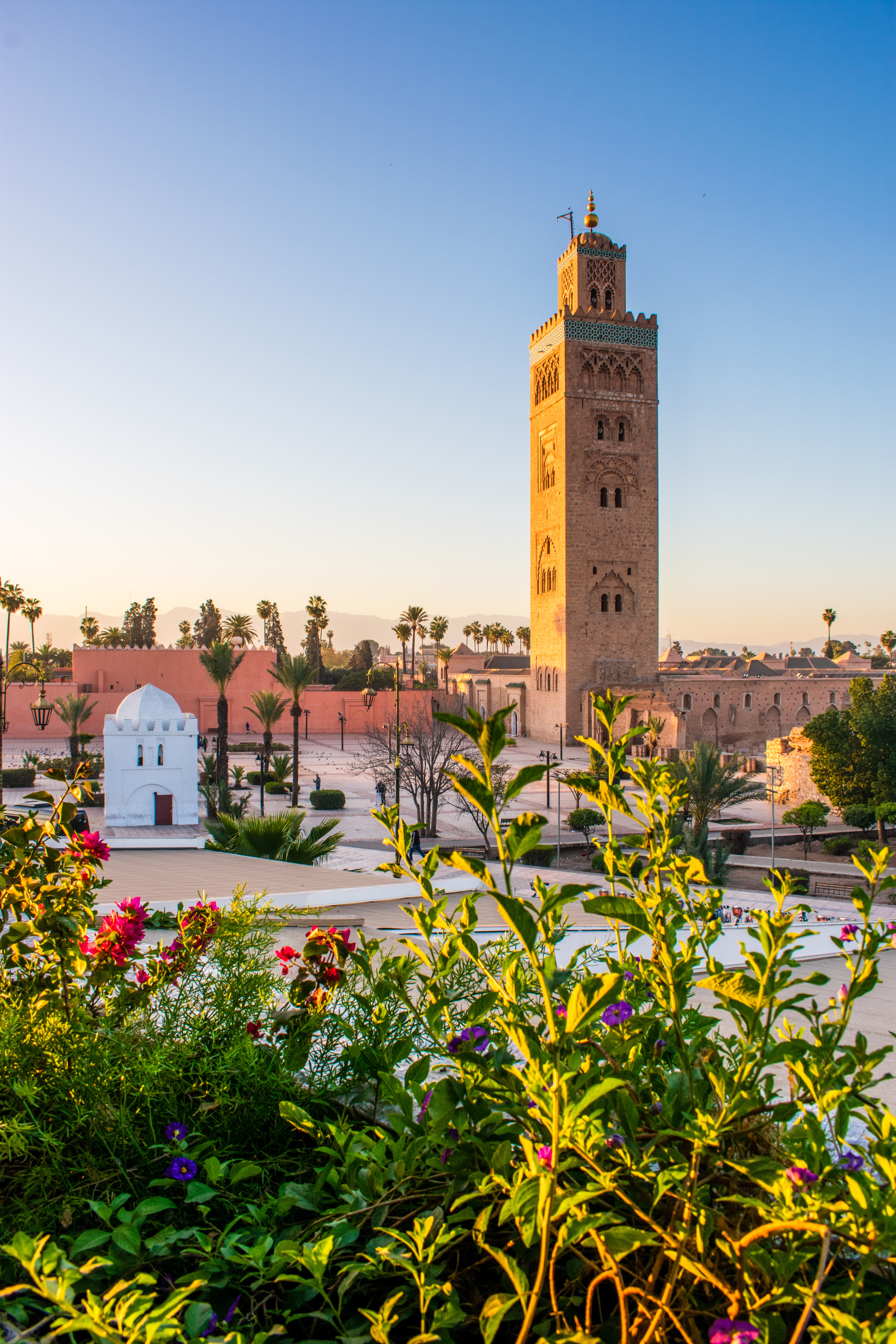 Koutoubia minaret rises above Marrakech rooftops, with palm gardens and flowering shrubs filling the foreground.