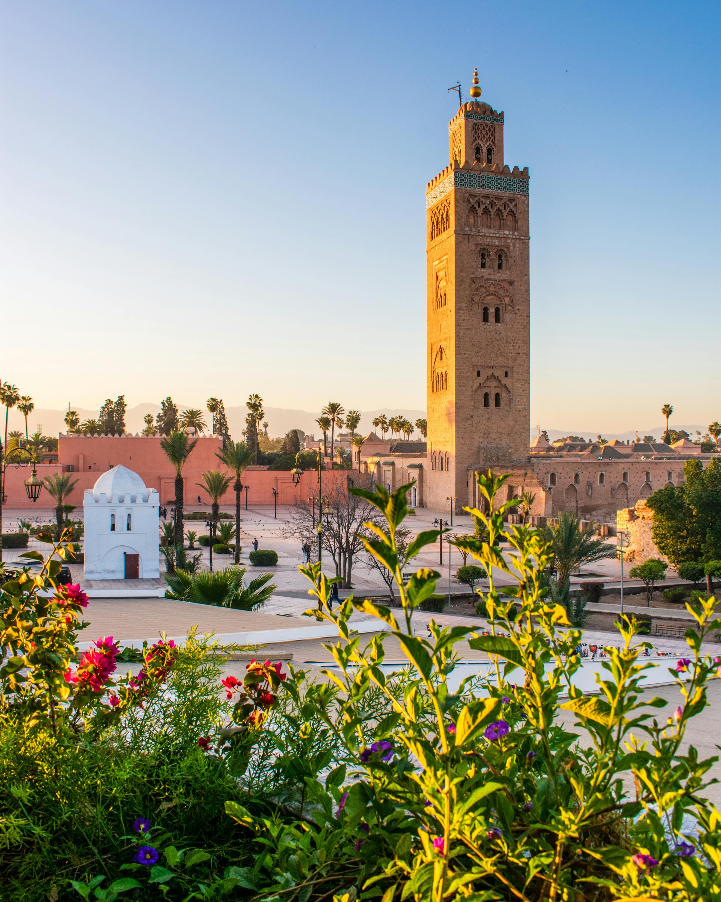 Koutoubia minaret rises above Marrakech rooftops, with palm gardens and flowering shrubs filling the foreground.