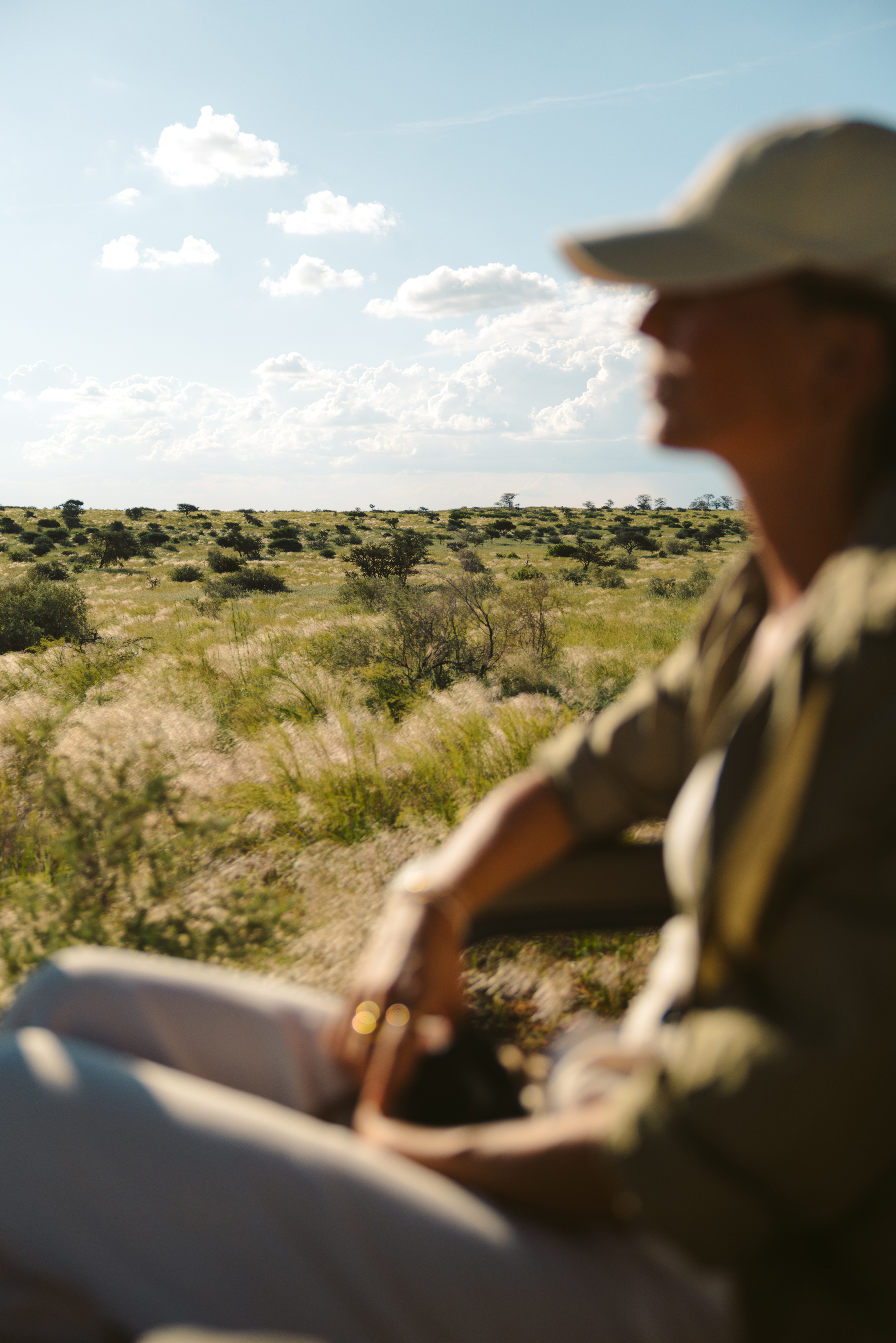 A traveler rides in an open safari vehicle, watching tall grasses and distant hills in soft afternoon light.