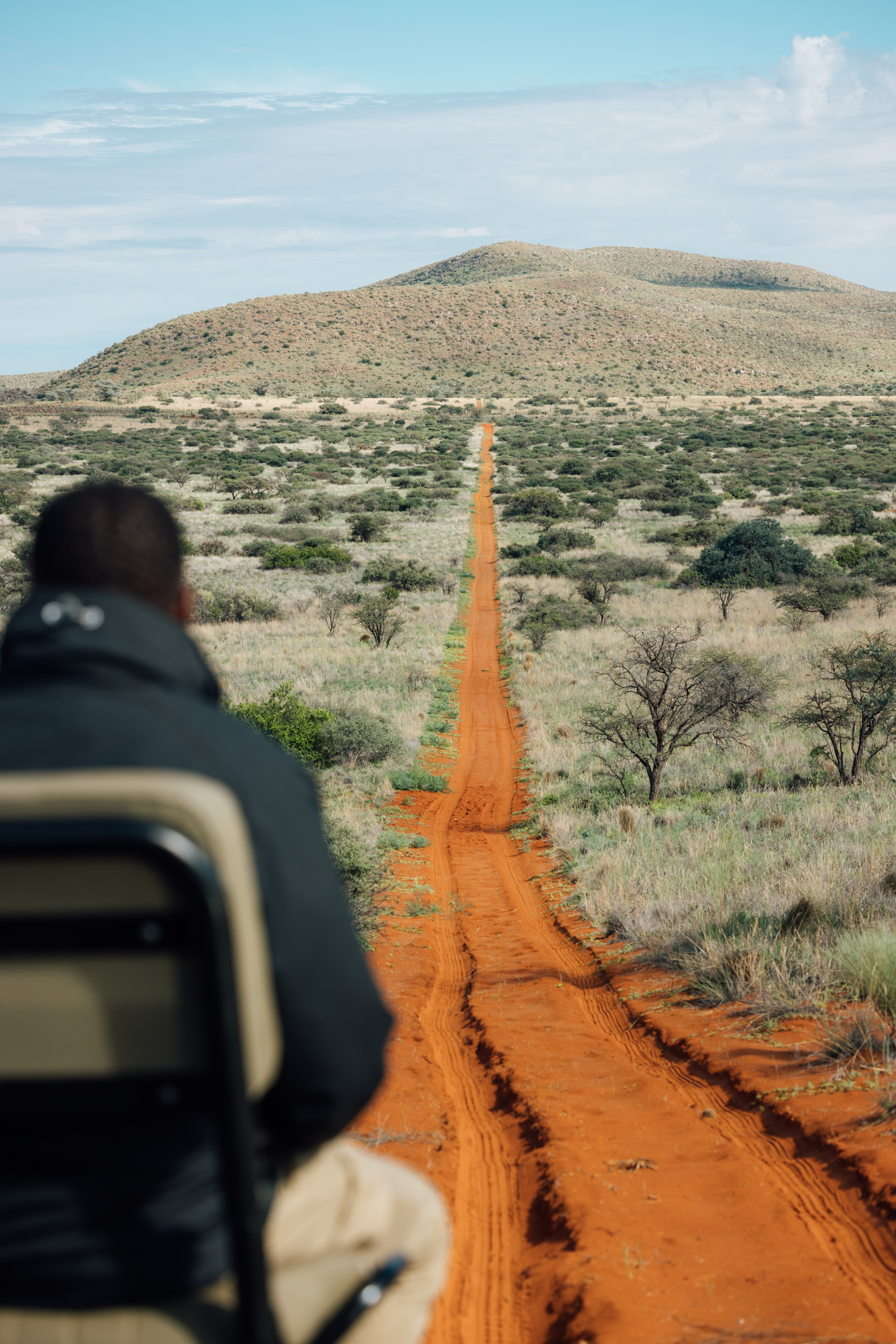 A red sand track runs through scrubby plains toward distant hills, framed by soft morning cloud.