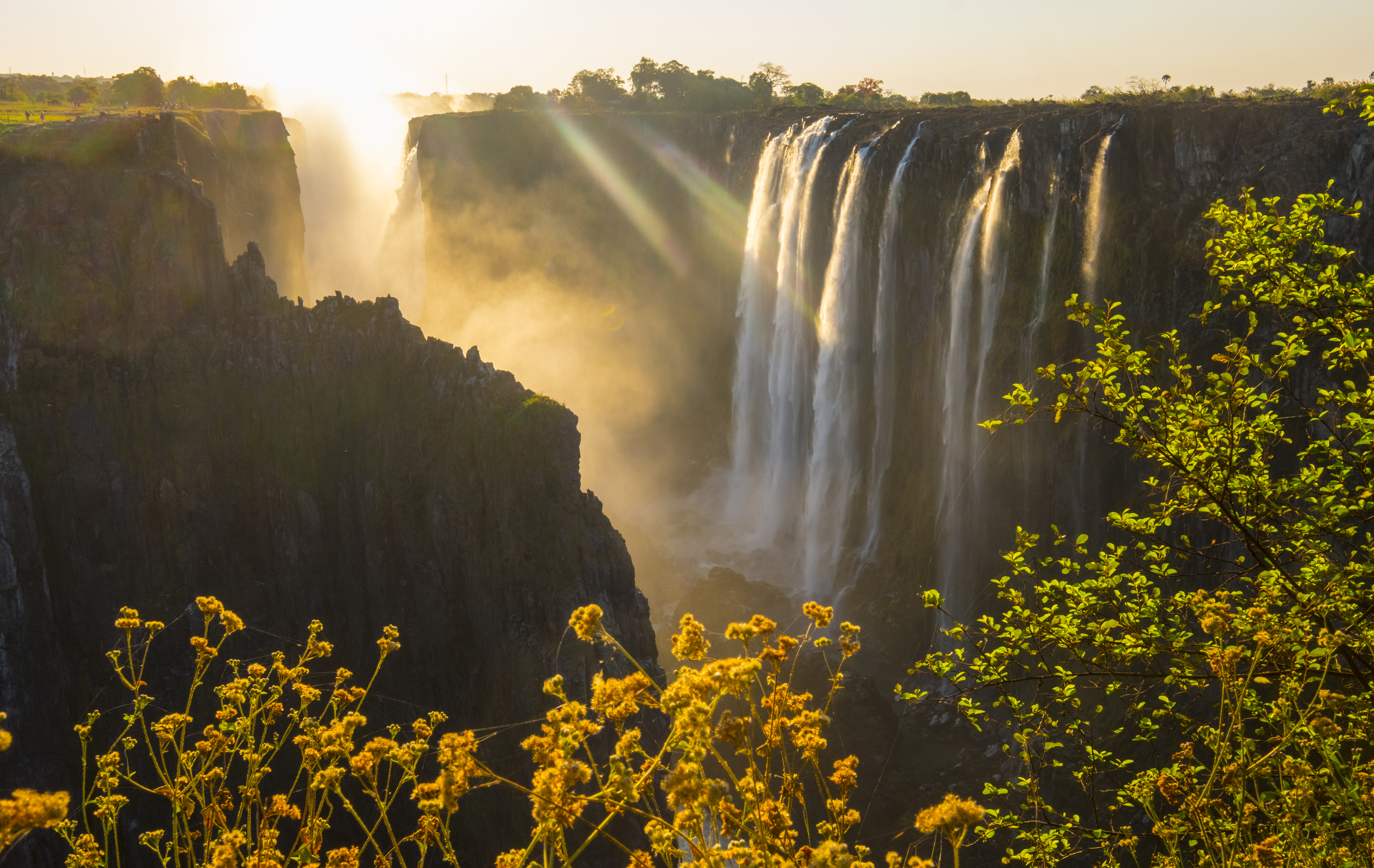 Golden sunrise lights Victoria Falls as water plunges into the gorge and thick spray drifts above the cliffs.