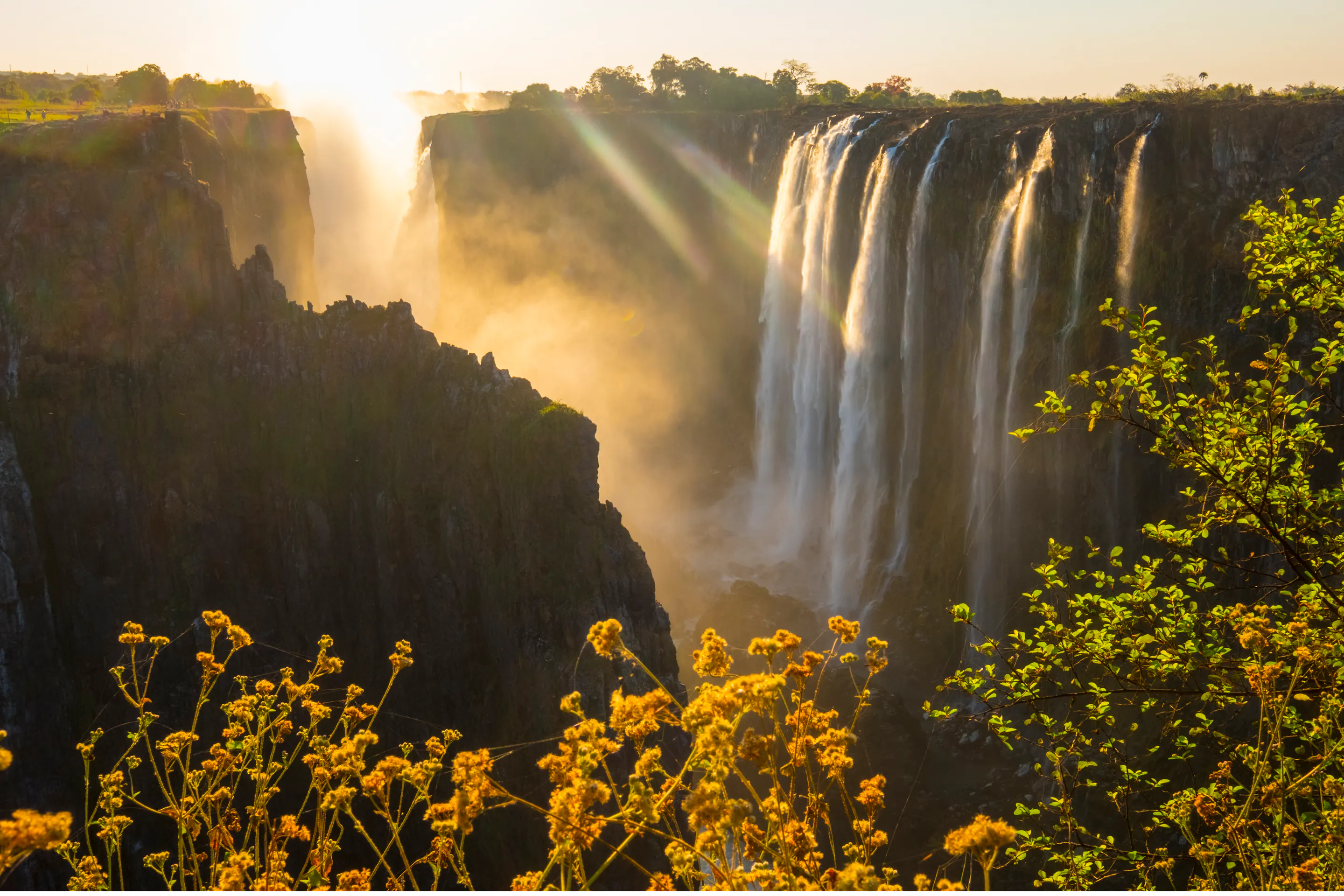 Golden sunrise lights Victoria Falls as water plunges into the gorge and thick spray drifts above the cliffs.