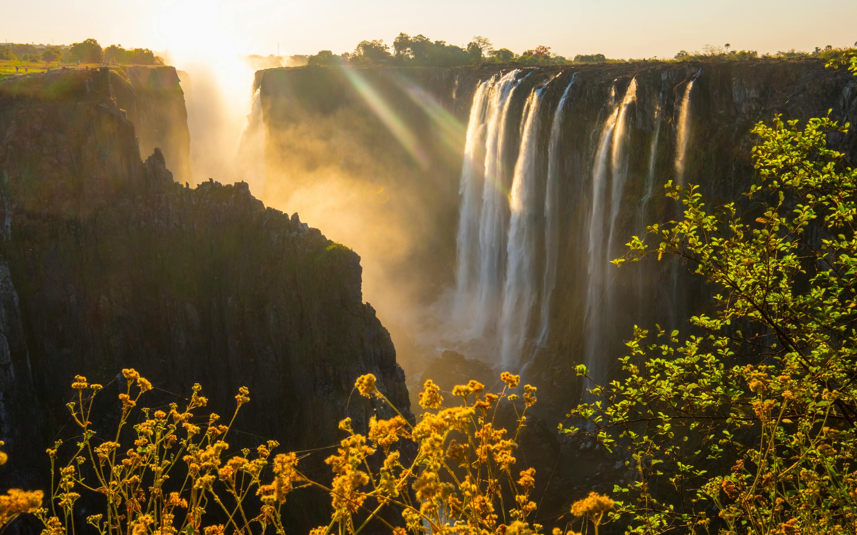 Golden sunrise lights Victoria Falls as water plunges into the gorge and thick spray drifts above the cliffs.