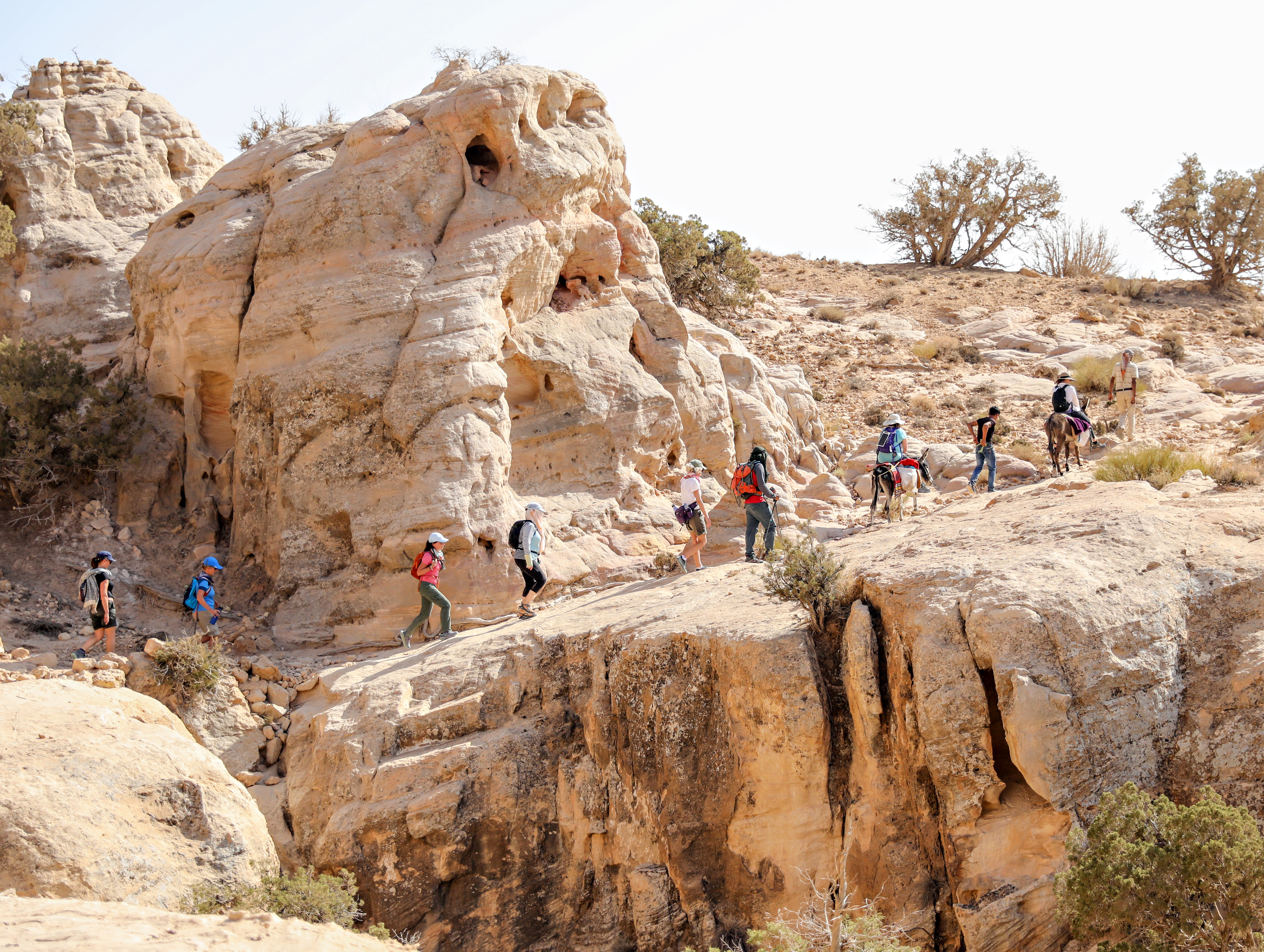 Hikers follow a narrow cliffside path in Petra, sandy rock walls rising above a deep ravine to the left, far below.