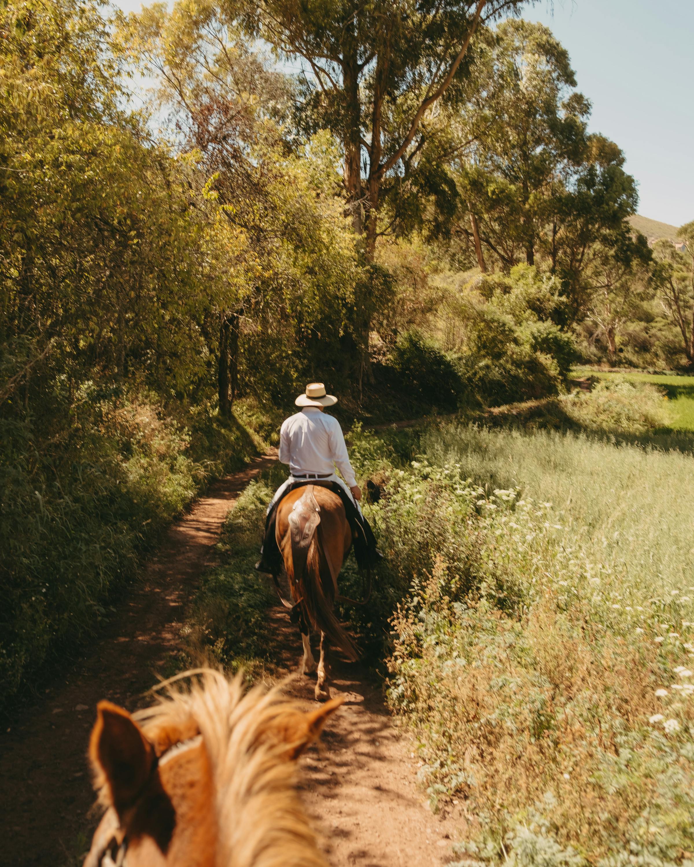 Rider on horseback crosses a sunlit meadow in the Sacred Valley, golden trees and mountains stretching ahead.