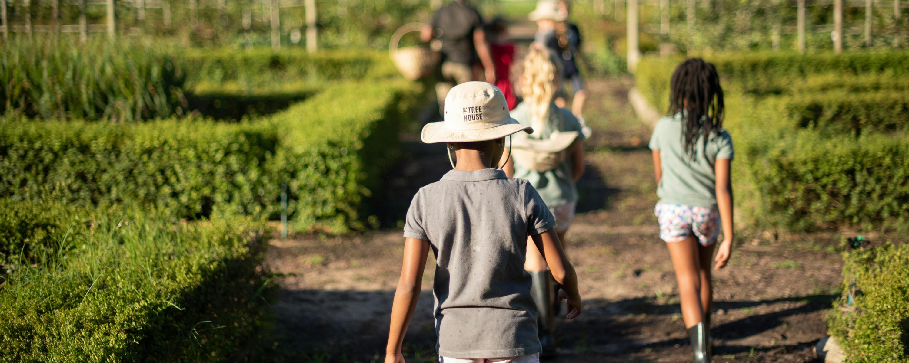 A small group walks down a vineyard path, moving between green vine rows toward distant mountains and trees.