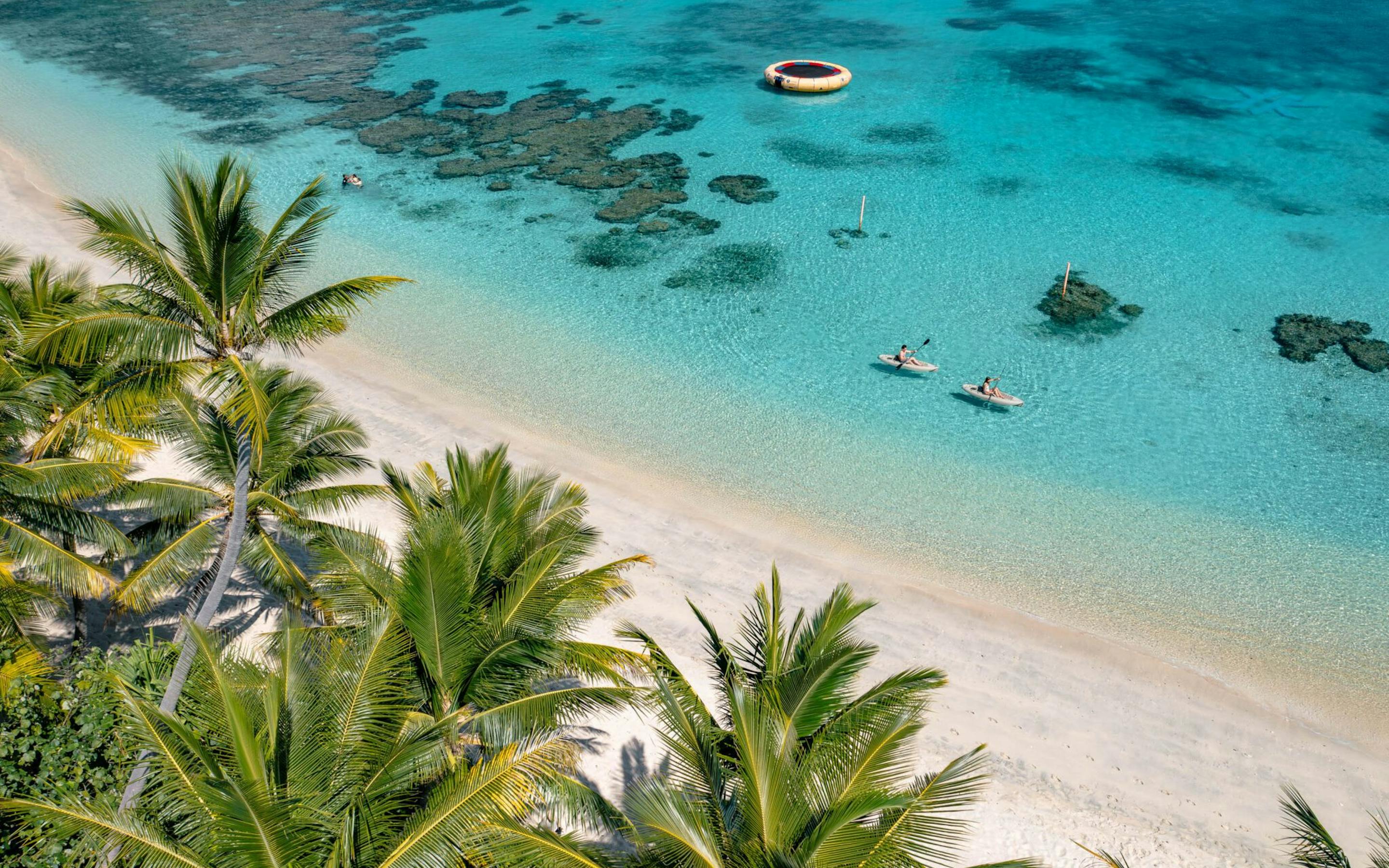 Aerial view of a tropical beach with palm trees lining white sand and crystal-clear turquoise water, where two people paddle kayaks near coral patches offshore.