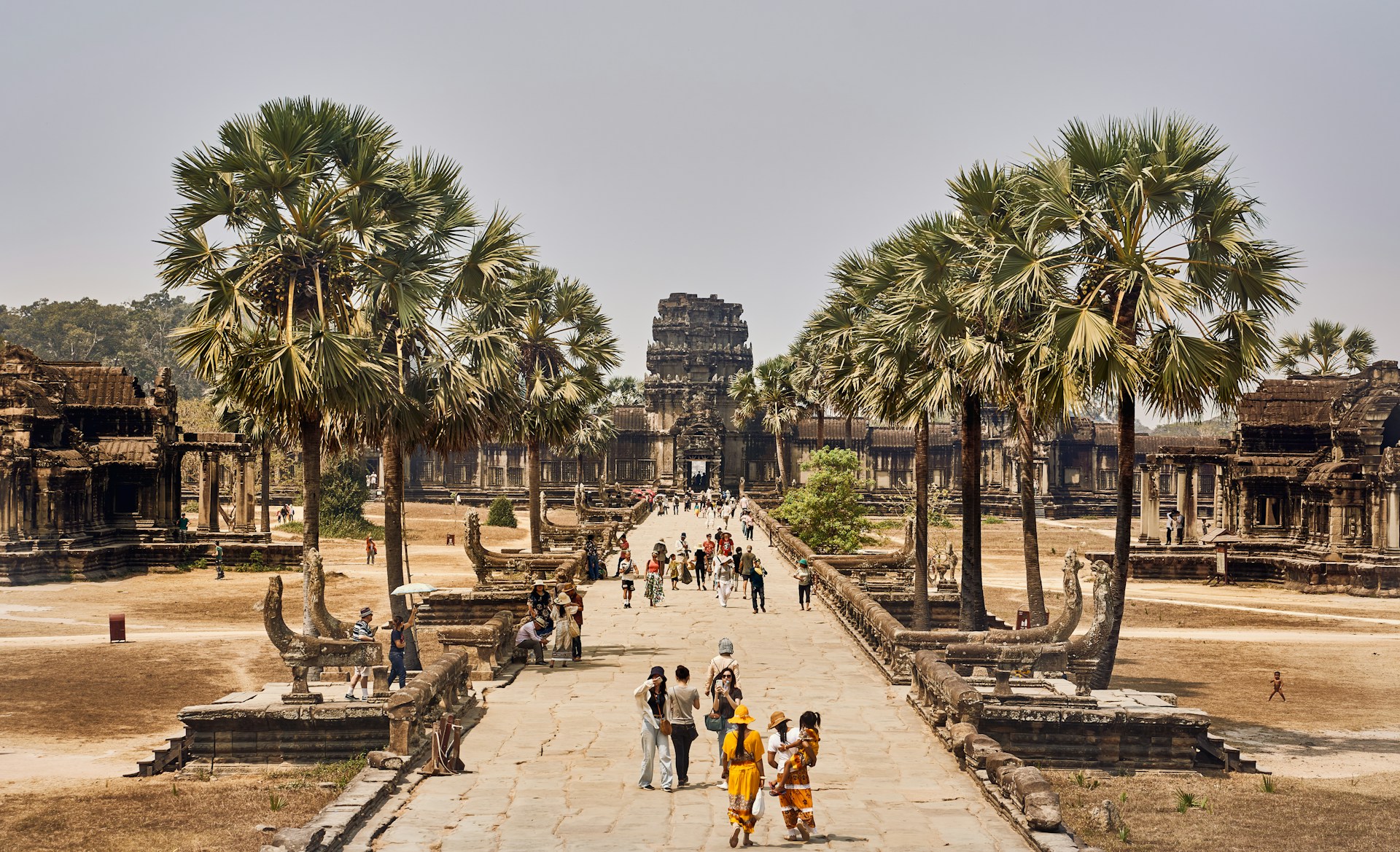 Visitors walking along a stone causeway lined with palm trees leading to Angkor Wat, surrounded by historic temple ruins in Cambodia.